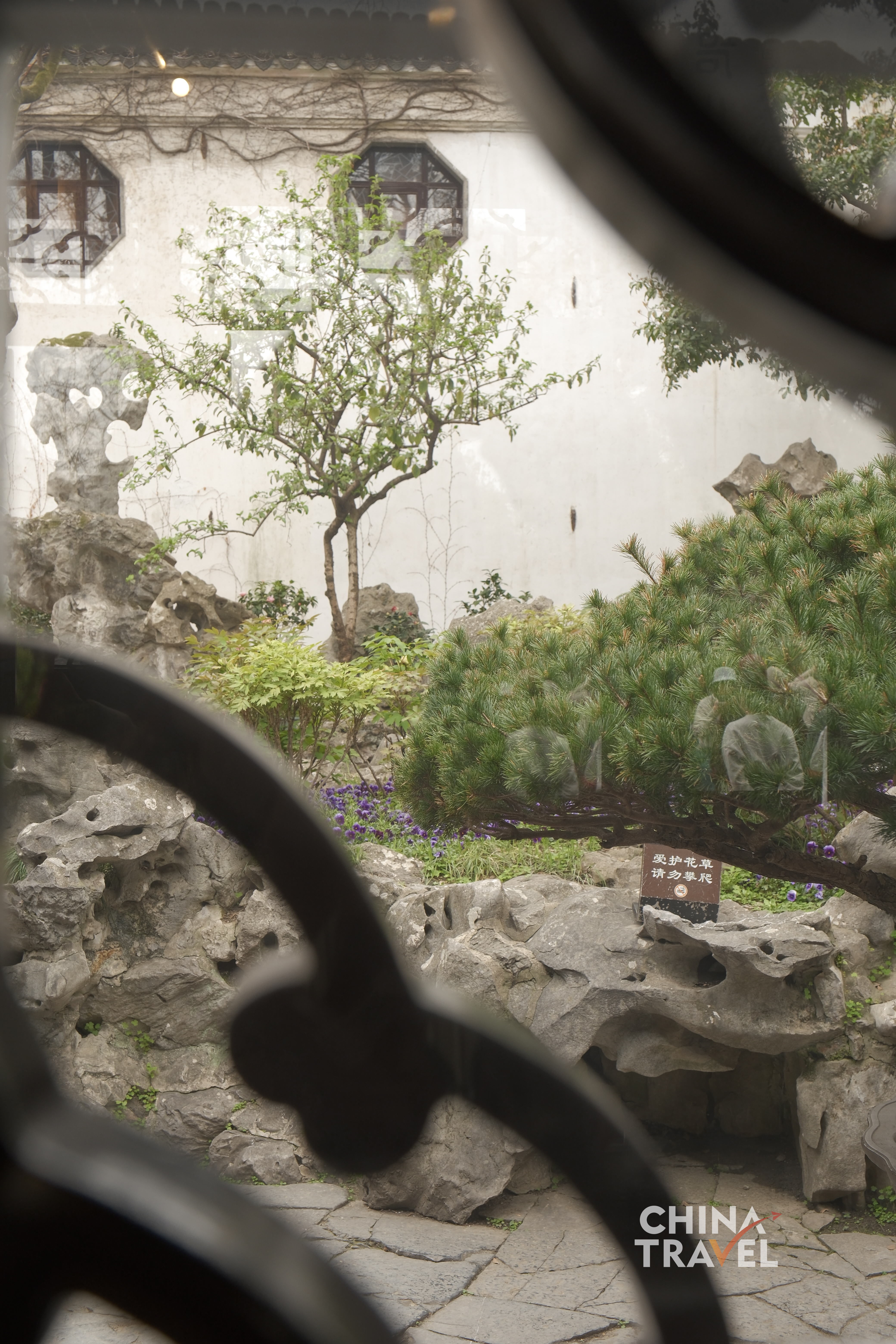Geometric windows frame the garden into composed scenes, turning nature into a series of living pictures. /CGTN