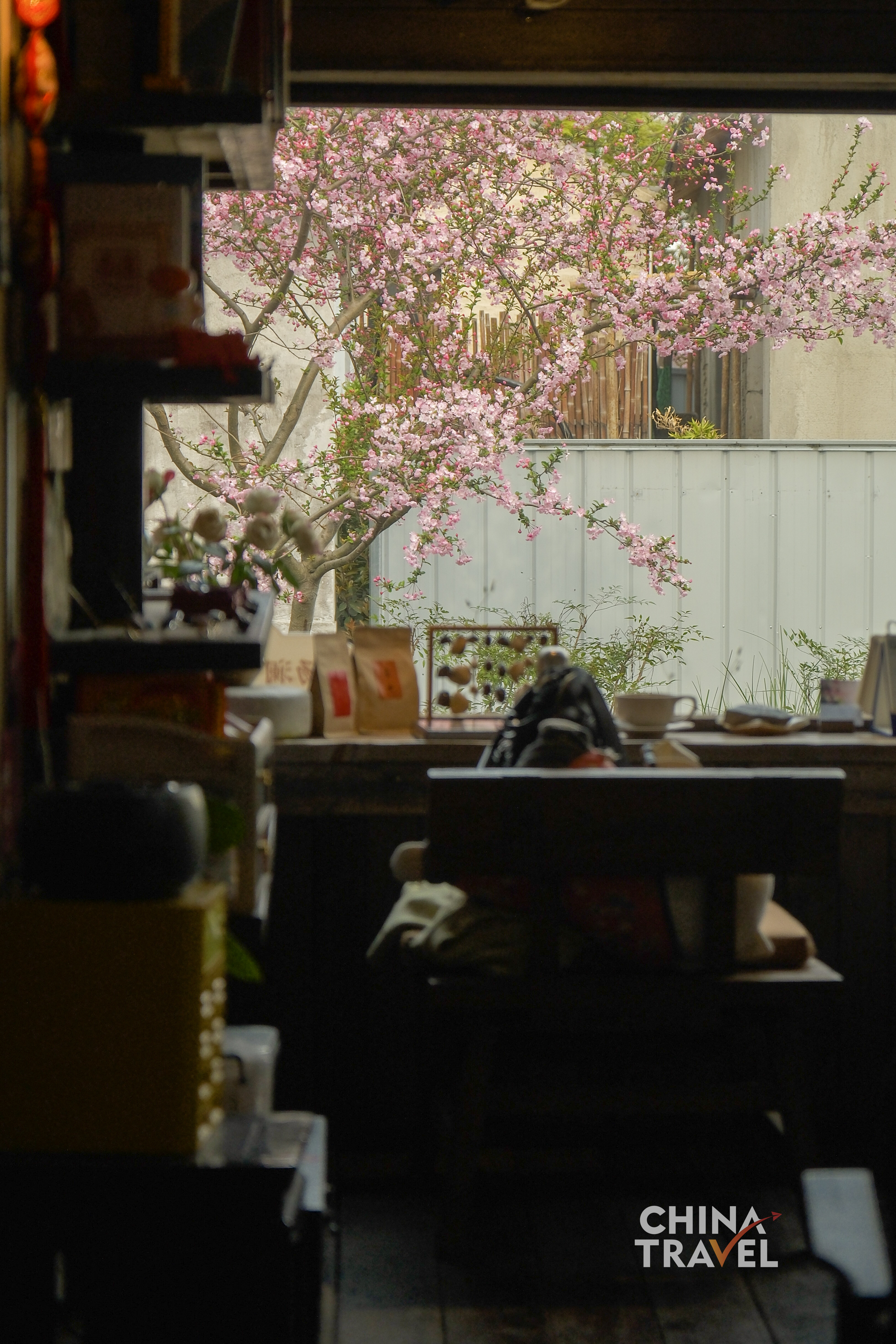 Geometric windows frame the garden into composed scenes, turning nature into a series of living pictures. /CGTN