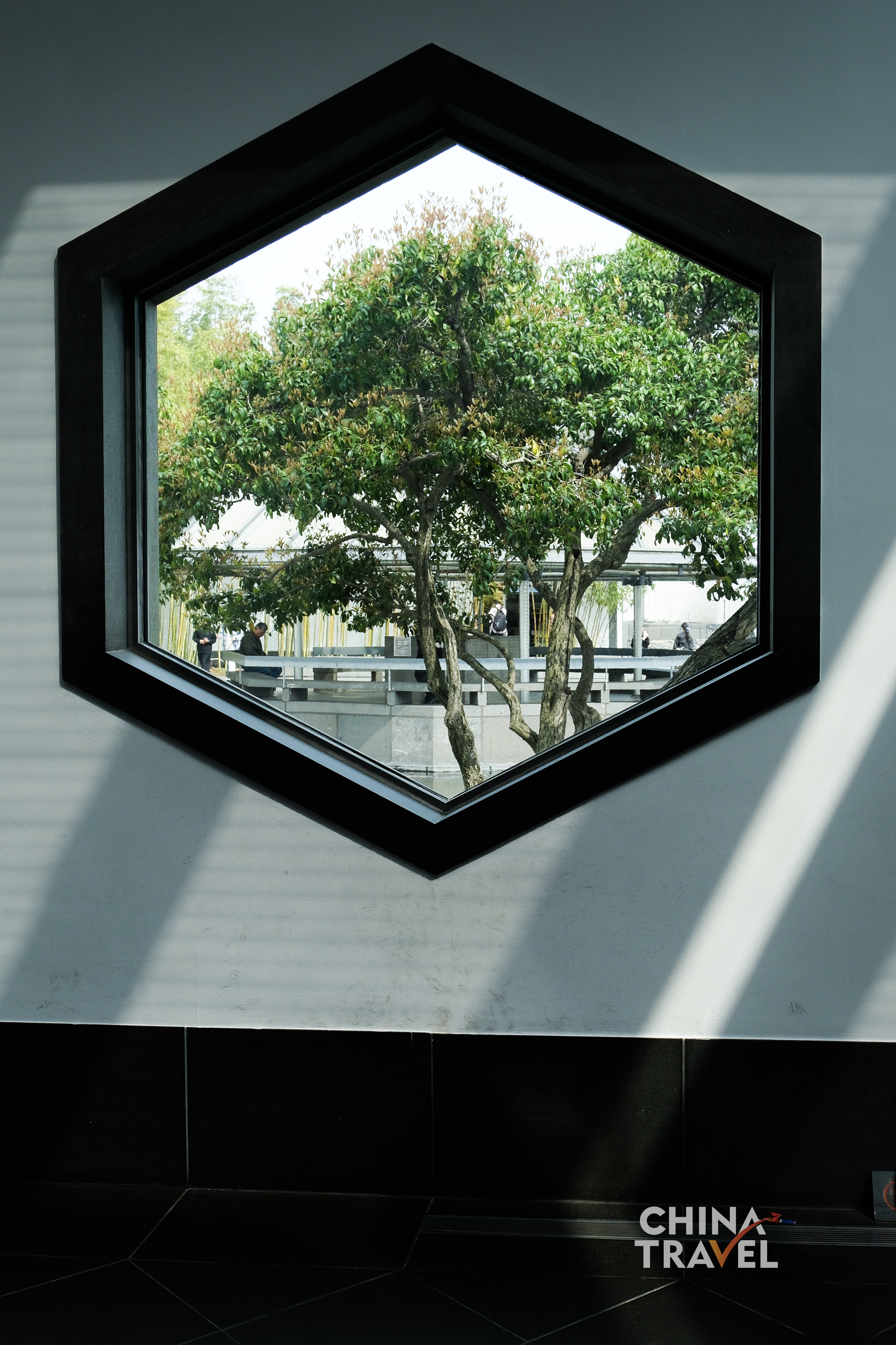Geometric windows frame the garden into composed scenes, turning nature into a series of living pictures. /CGTN