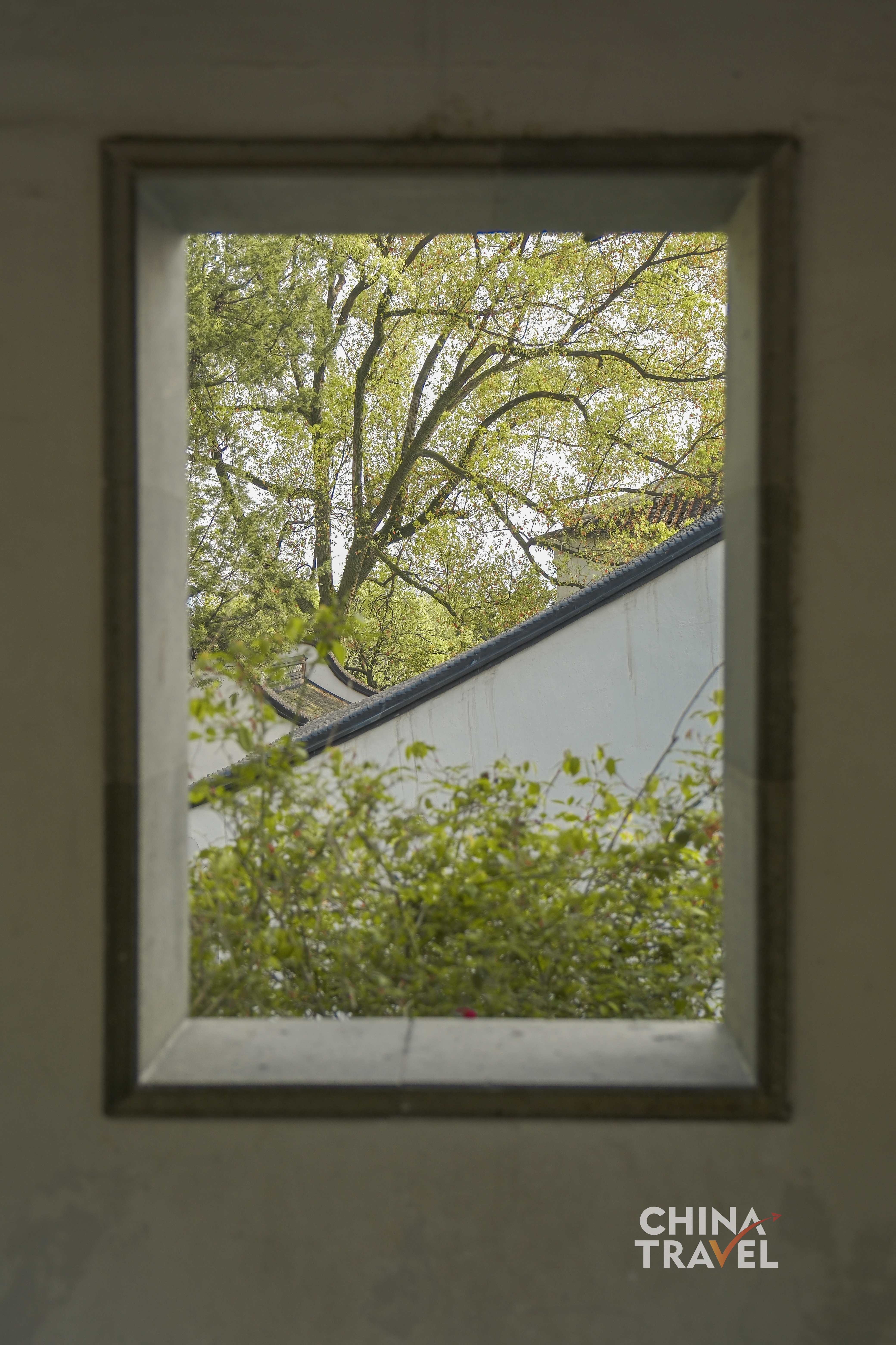 Geometric windows frame the garden into composed scenes, turning nature into a series of living pictures. /CGTN