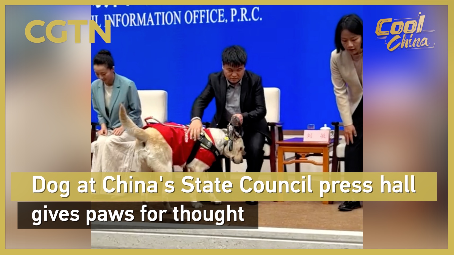 Dog at China's State Council press hall gives paws for thought 