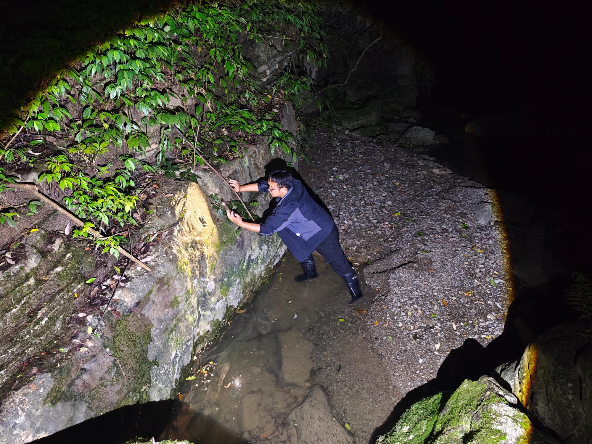 A reserve ranger works at Mayanghe National Nature Reserve in southwest China's Guizhou Province. /Tongren Media Convergence Center