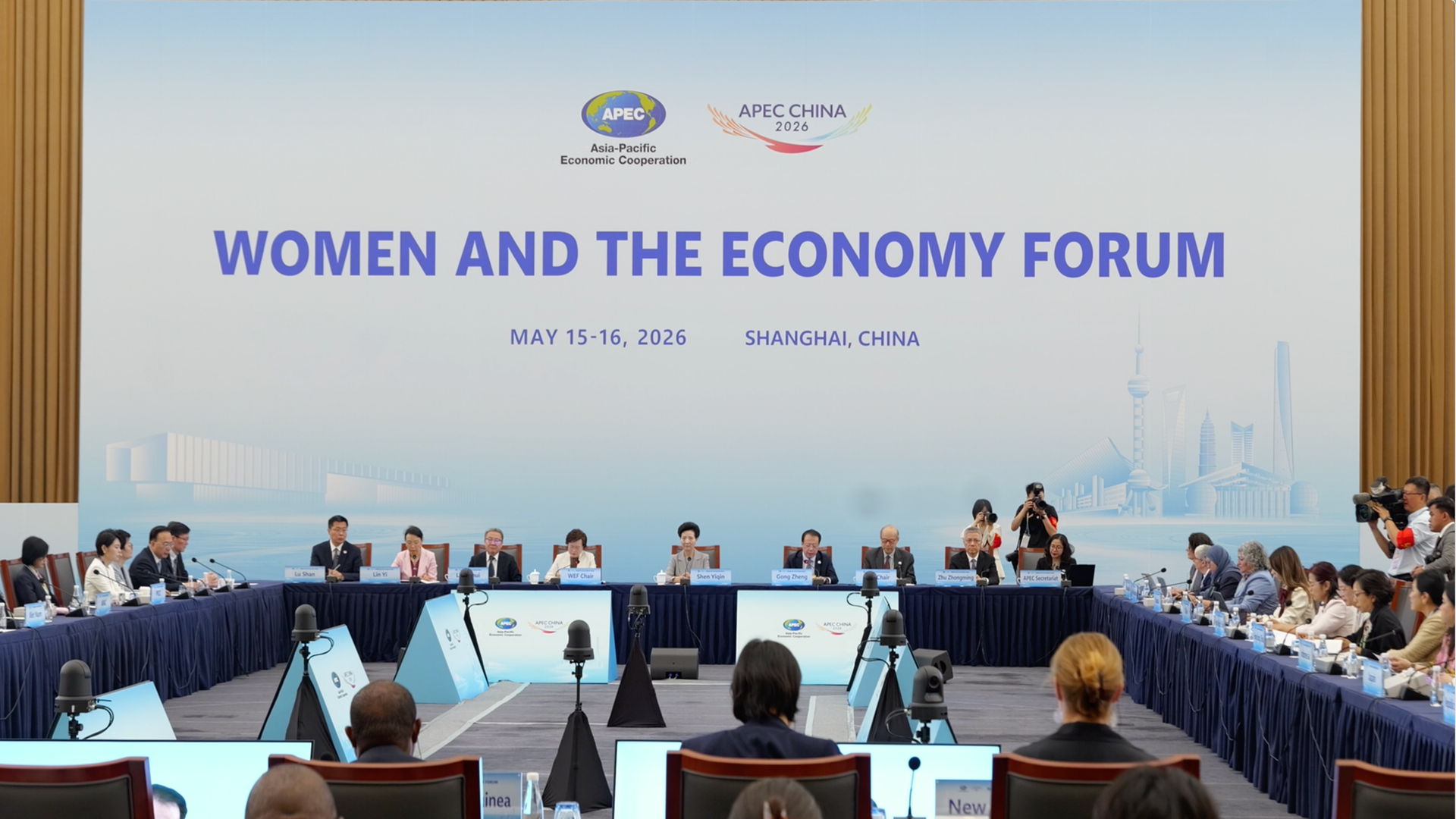 What concerns matter most to female APEC representatives?