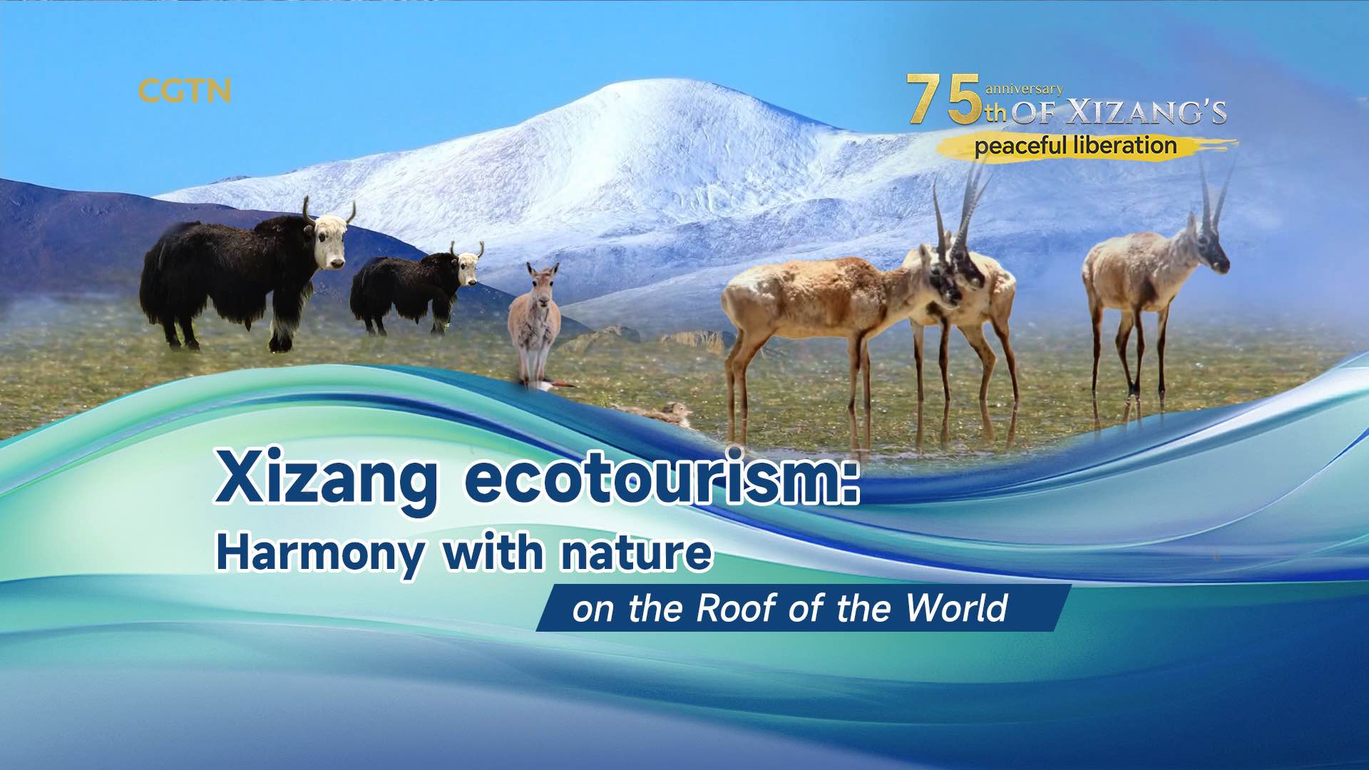 Xizang ecotourism: Harmony with nature on the 'Roof of the World'