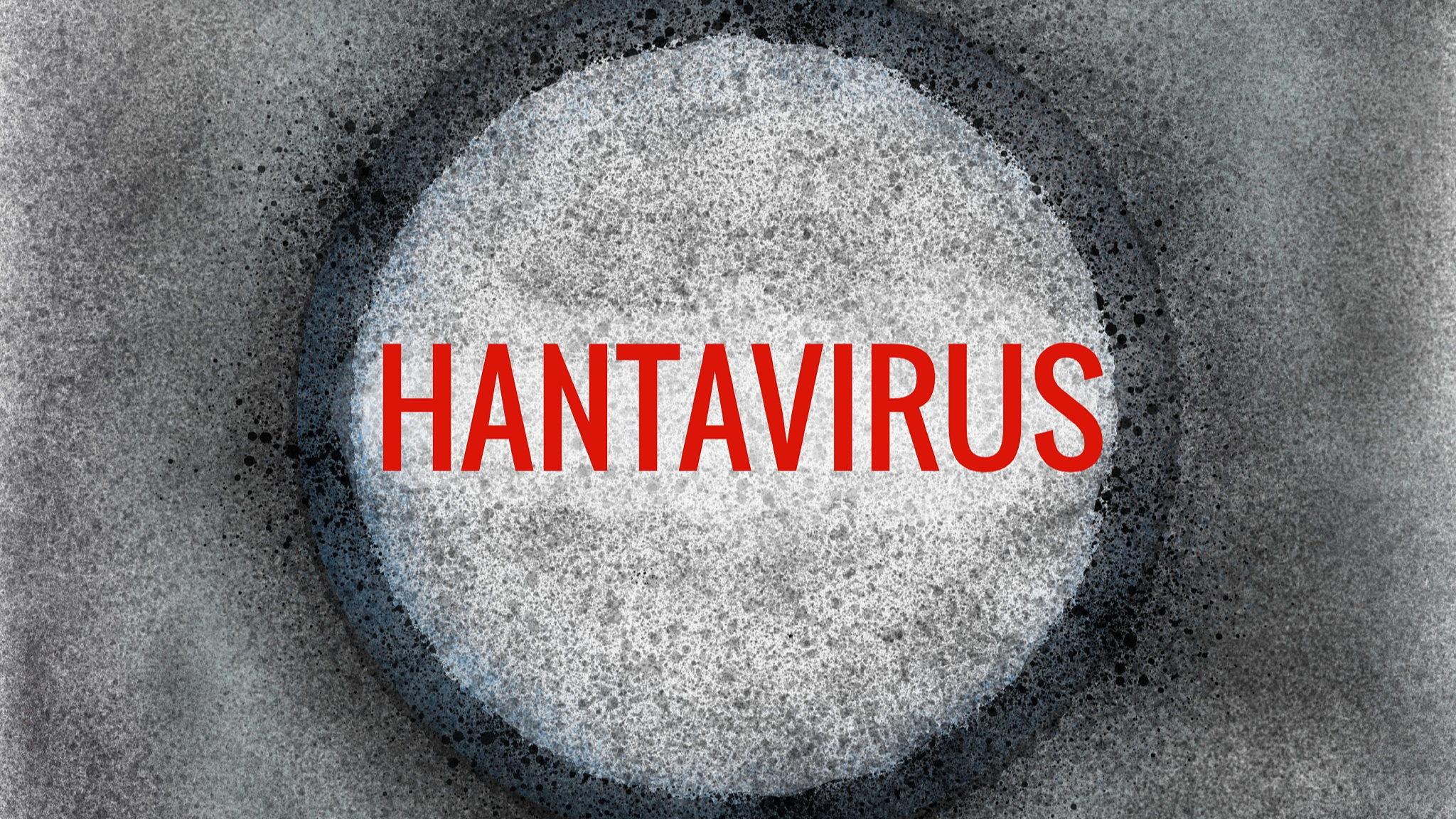 Canadian cruise passenger tests presumptively positive for hantavirus