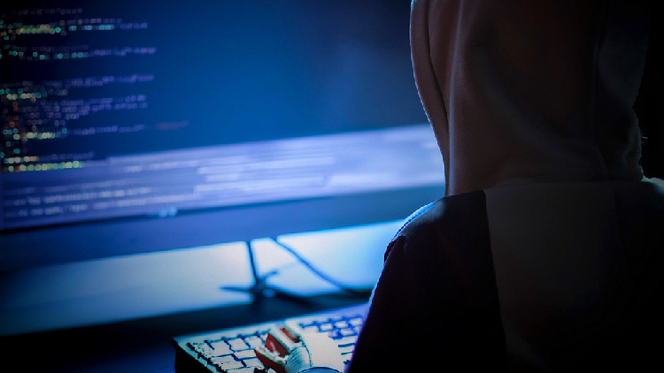 China, US, UAE jointly crack down on telecom fraud in Dubai
