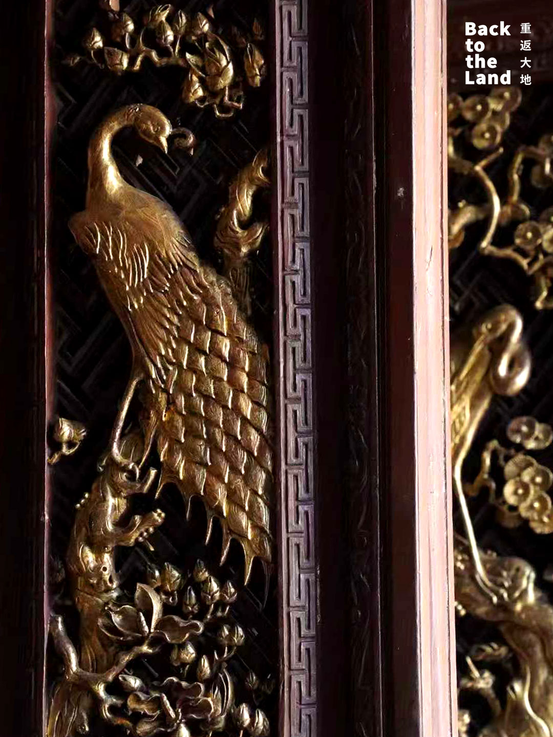 The Yang Mansion, a landmark Bai-style courtyard house in Xizhou Ancient Town, Yunnan Province. /CGTN