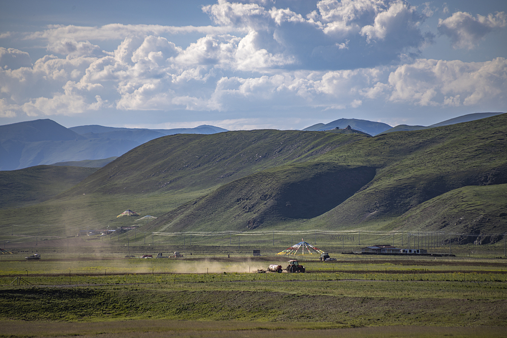 Located in the ecologically-vital Sanjiangyuan region at an altitude of over 4,000 meters, modern equipment is transforming traditional plateau farming into a highly efficient, scenic landscape in northwestern China's Qinghai Province. on July 30, 2025. /VCG