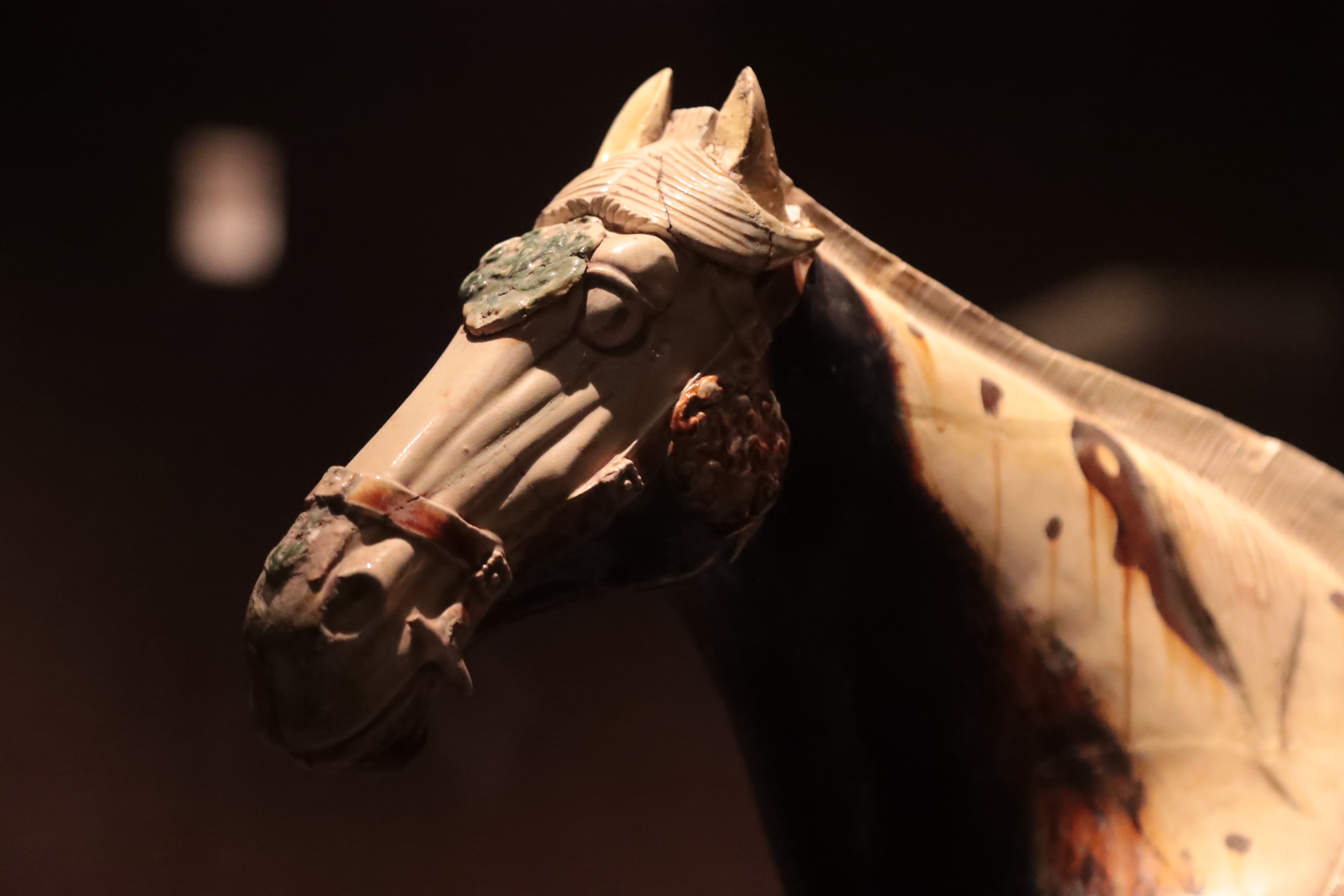 A close-up shows the details of the black-glazed pottery horse at the Luoyang Museum in Henan Province. /CGTN