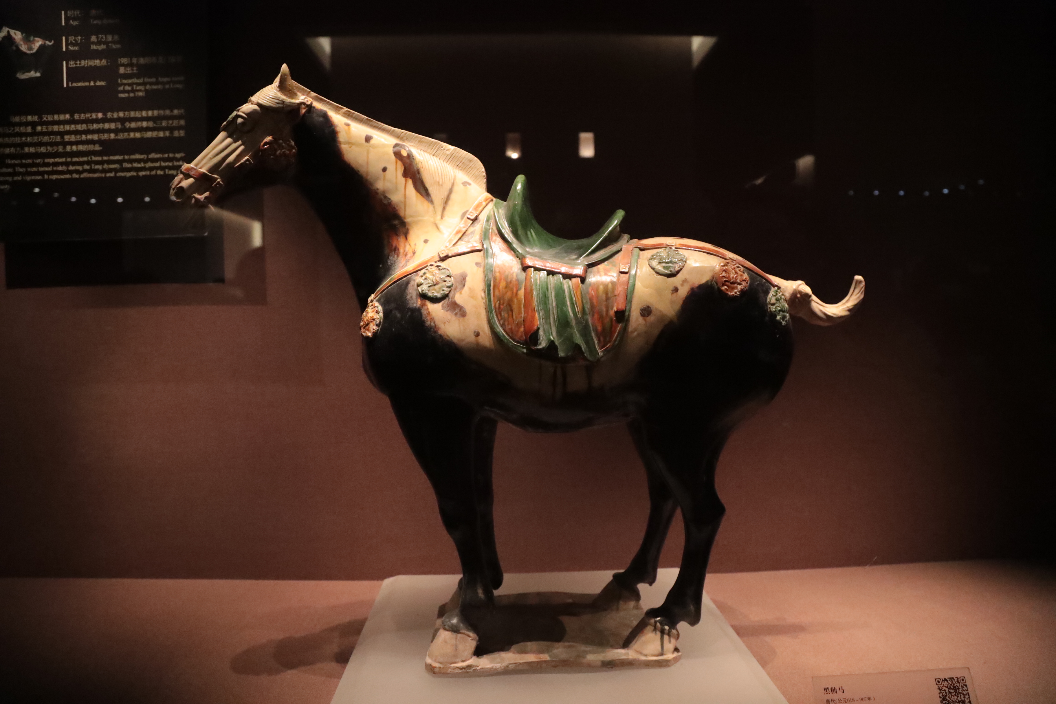 A black-glazed pottery horse from the Tang Dynasty is seen on display at the Luoyang Museum in Henan Province. /CGTN