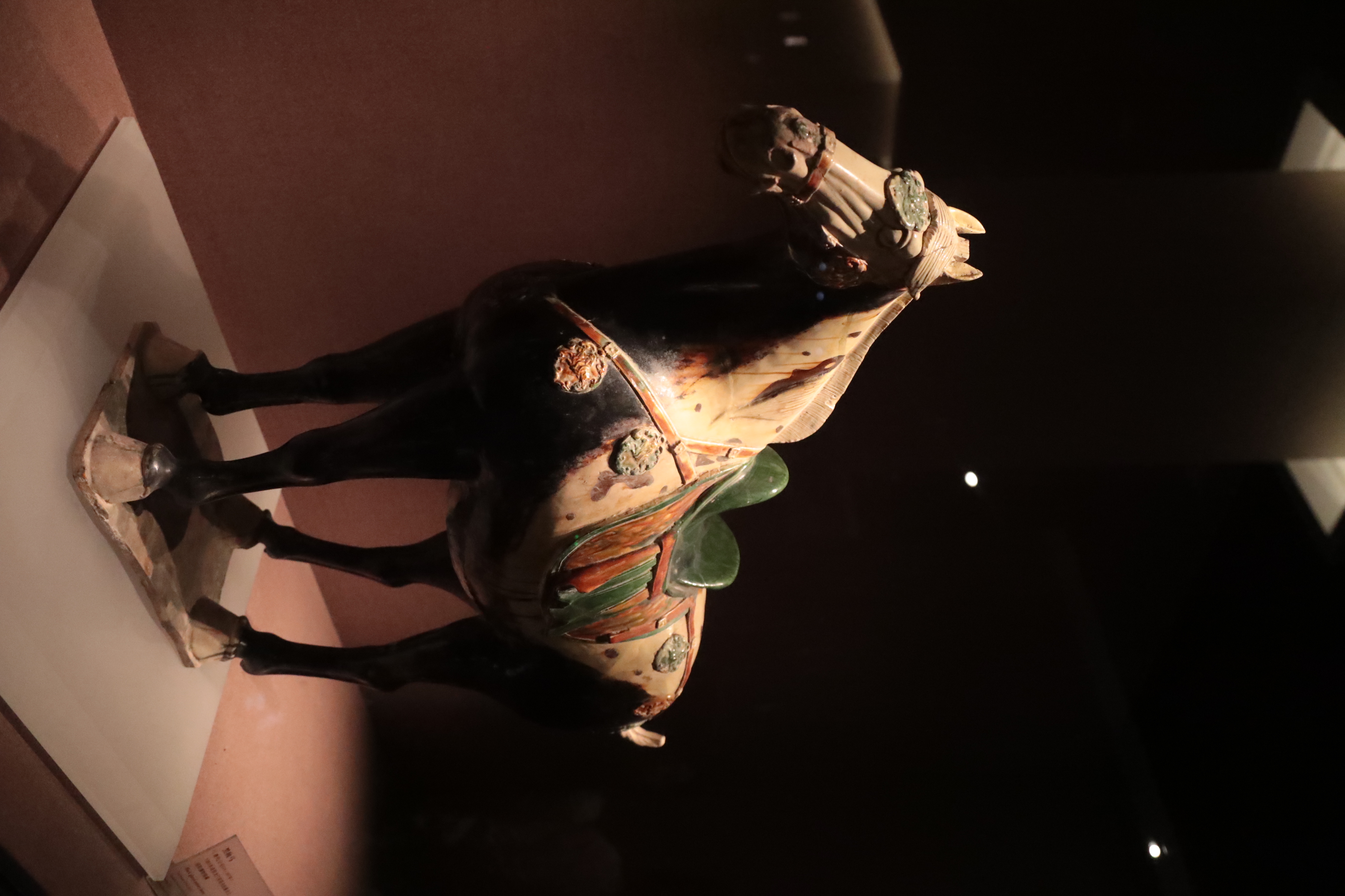 A black-glazed pottery horse from the Tang Dynasty is seen on display at the Luoyang Museum in Henan Province. /CGTN