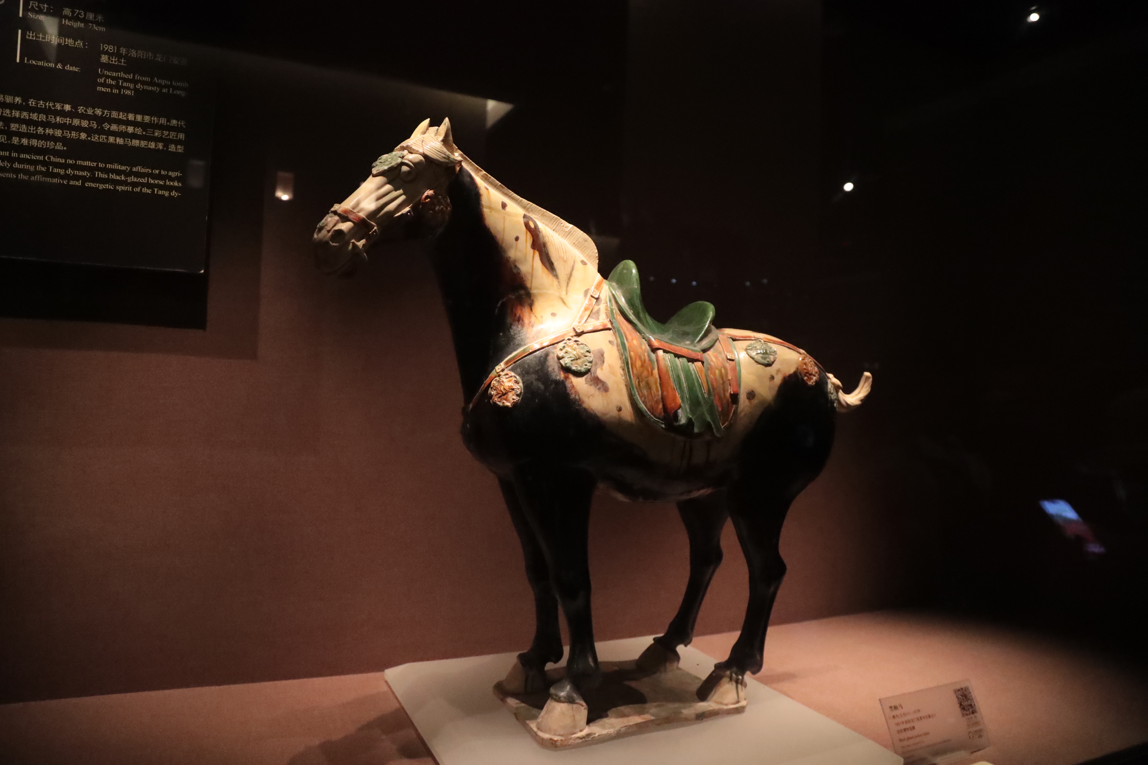 A black-glazed pottery horse from the Tang Dynasty is seen on display at the Luoyang Museum in Henan Province. /CGTN