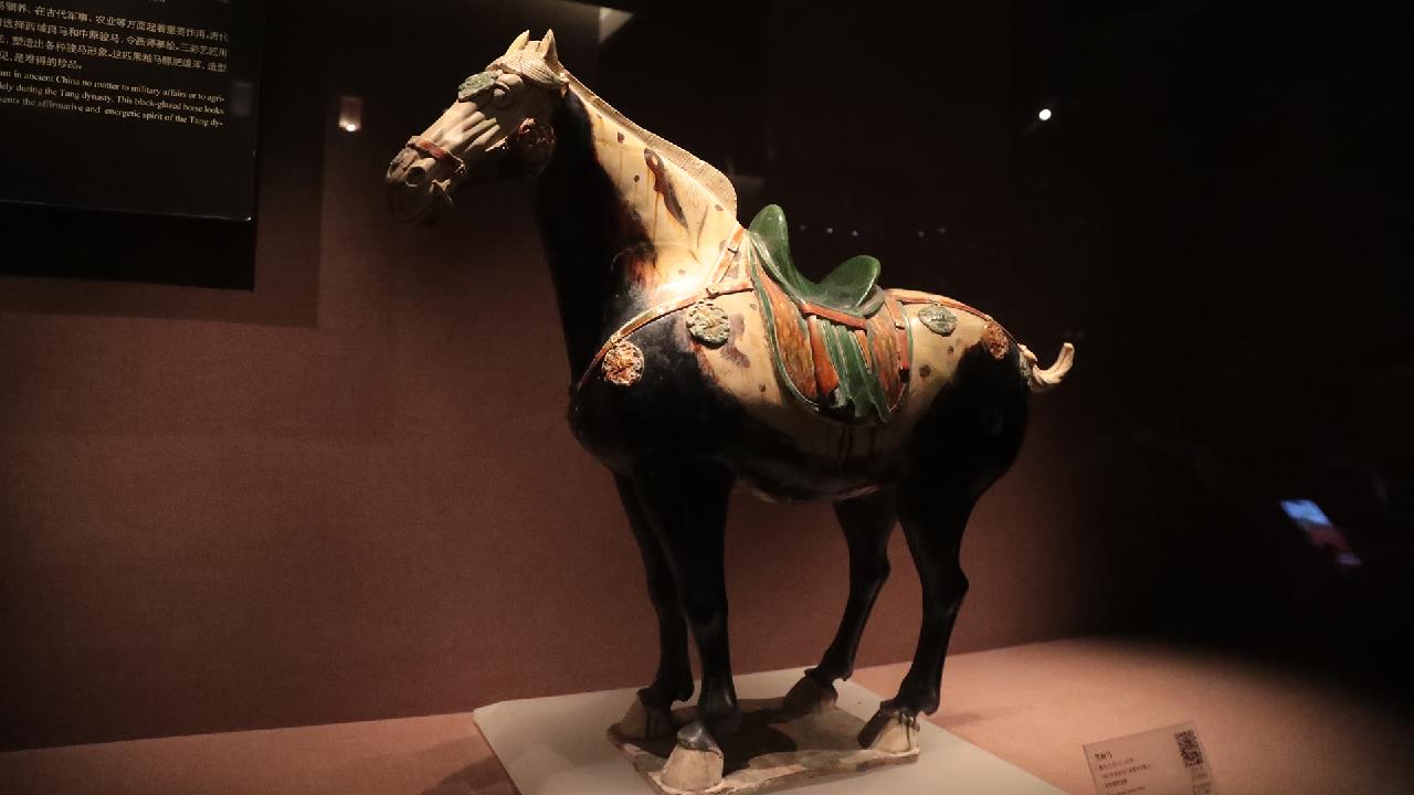 Rare black-glazed pottery horse reflects Silk Road exchanges