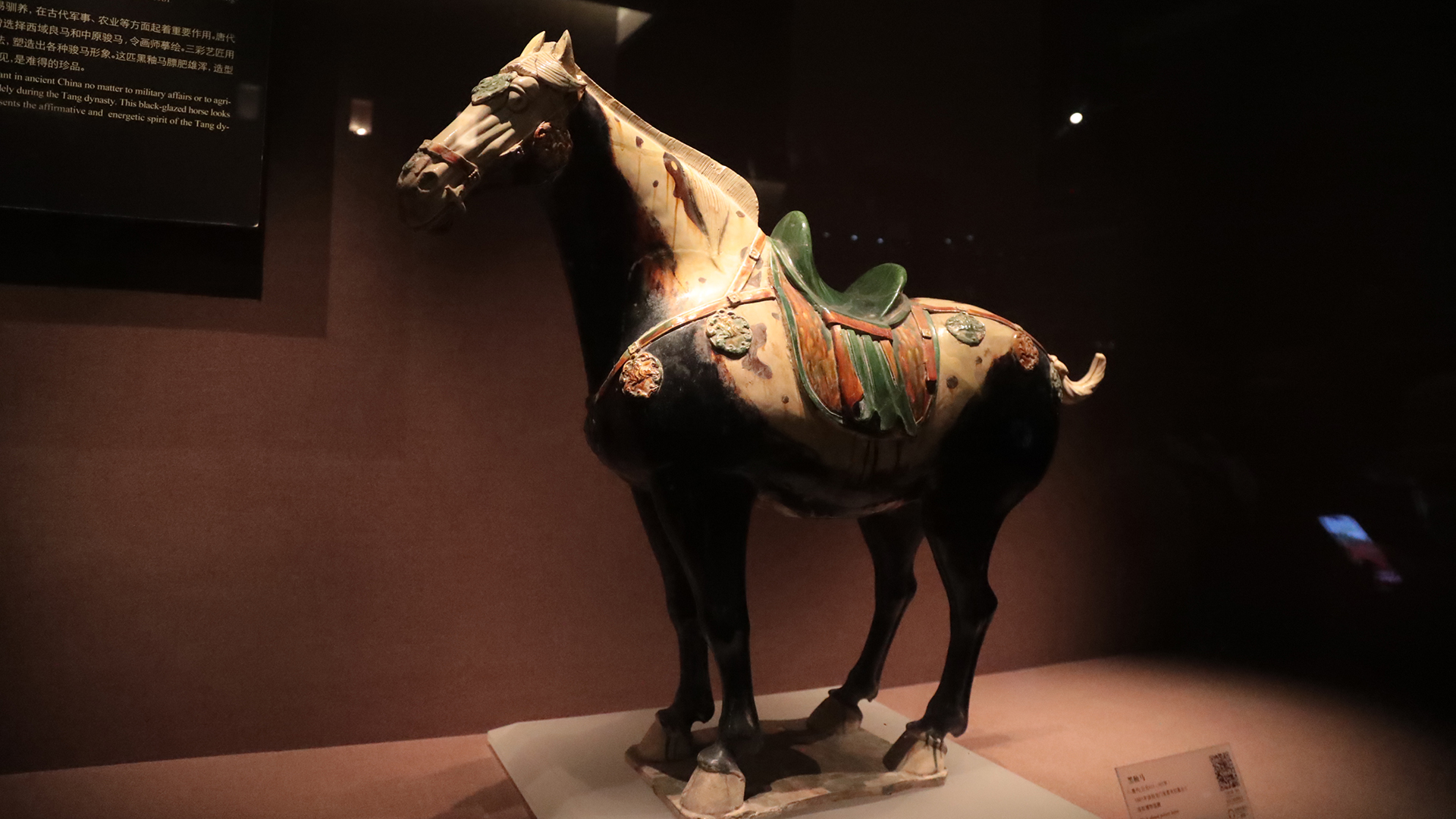 Rare black-glazed pottery horse reflects Silk Road exchanges