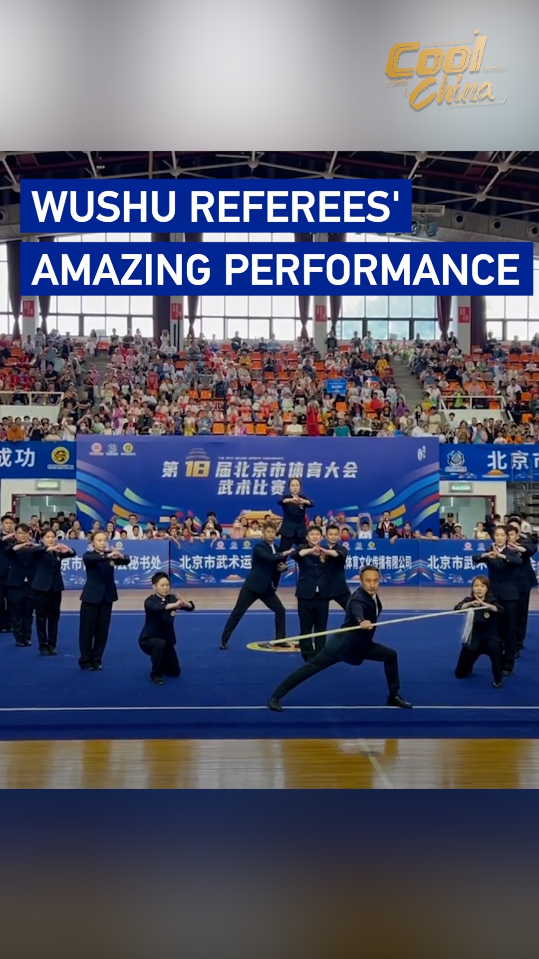 Wushu referees' amazing performance