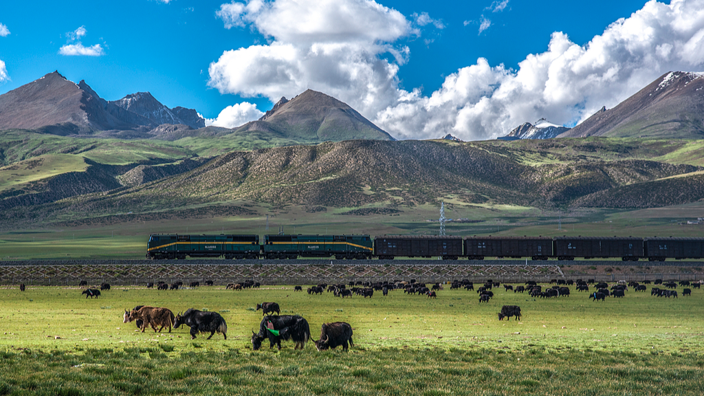 A train transporting goods runs on Qinghai-Xizang Railway in a section in southwest China's Xizang Autonomous Region, June 24, 2020. /VCG