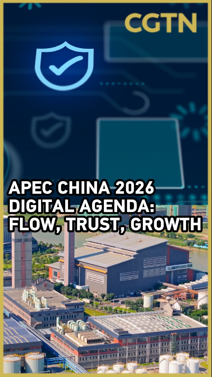 APEC's digital agenda: Flow, trust and growth