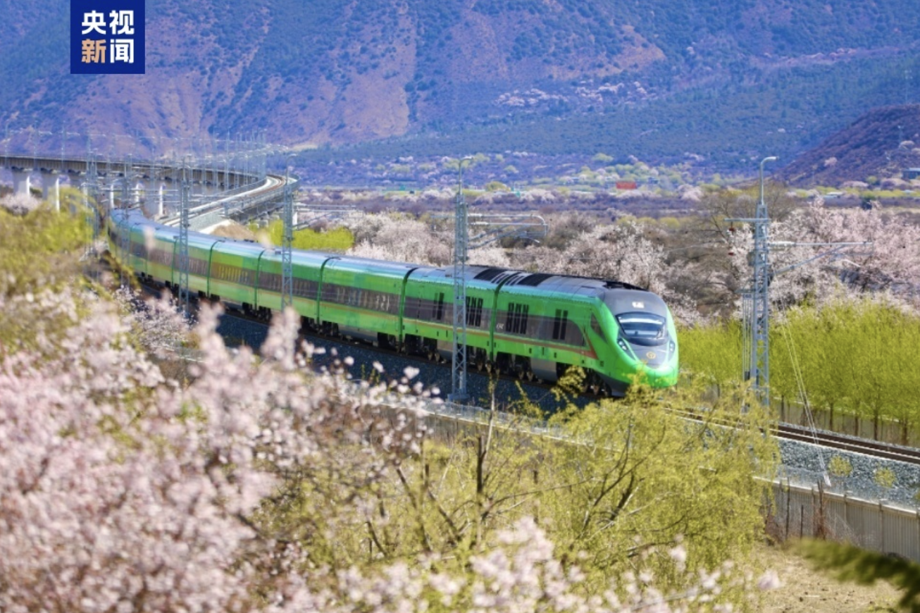 The Fuxing bullet train runs through peach blossoms along the Nyingchi section of Lhasa-Nyingchi Railway in Xizang Autonomous Region, March 21, 2023. /CMG