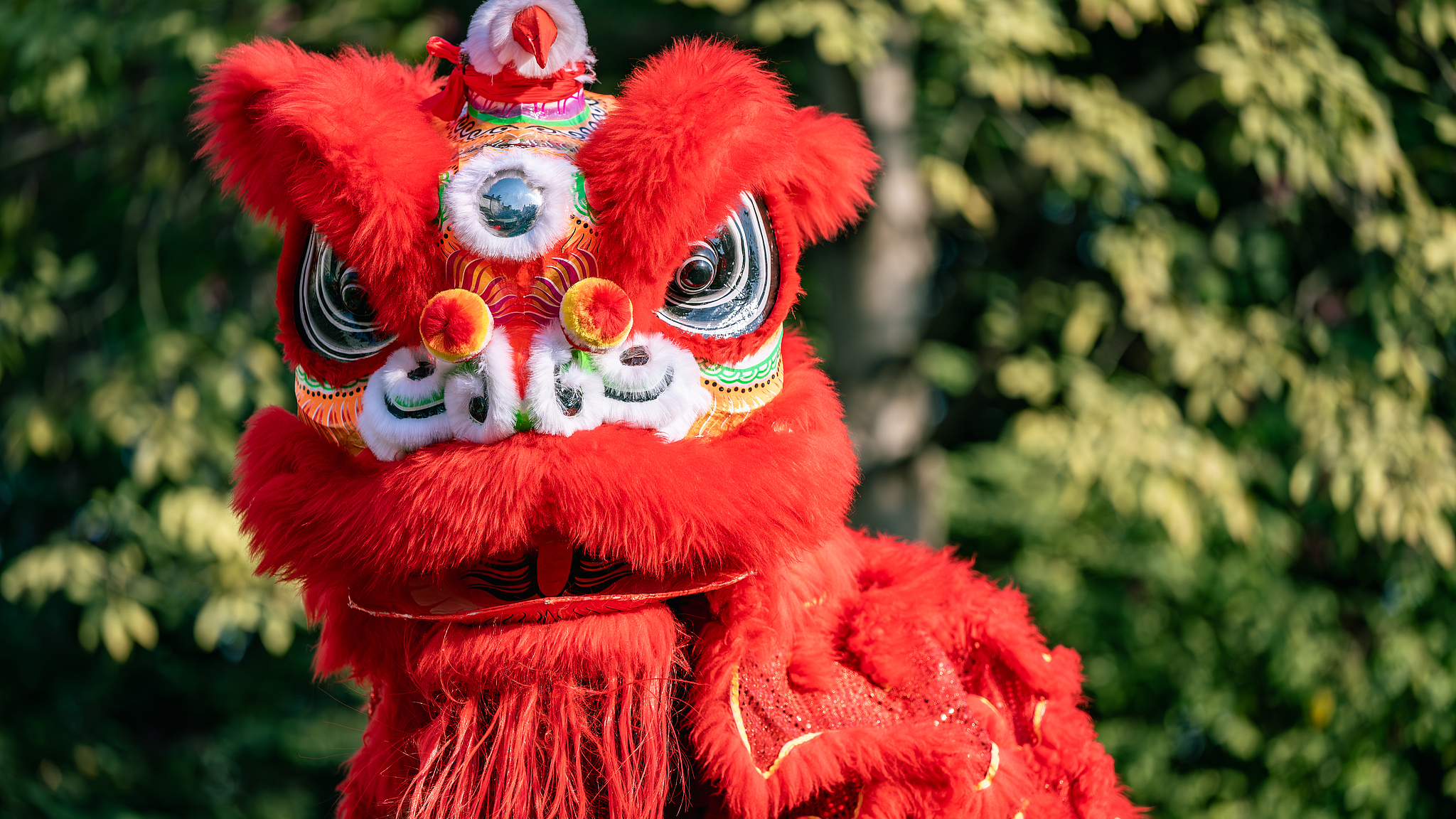Lion dance: Leaping for fortune on plum-blossom poles