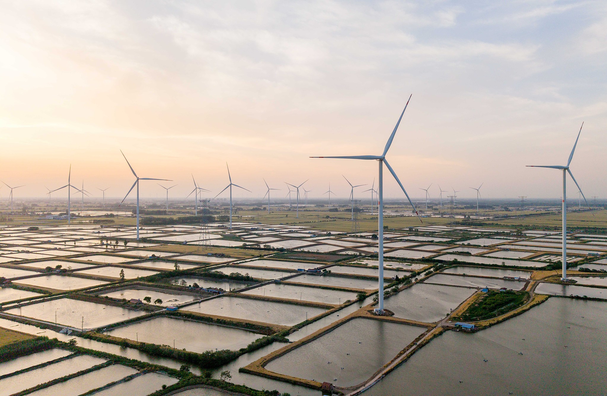 Wind turbine generators are rotating against the wind in fish ponds, Jinhu County, Jiangsu Province, China, May 16, 2026. /VCG