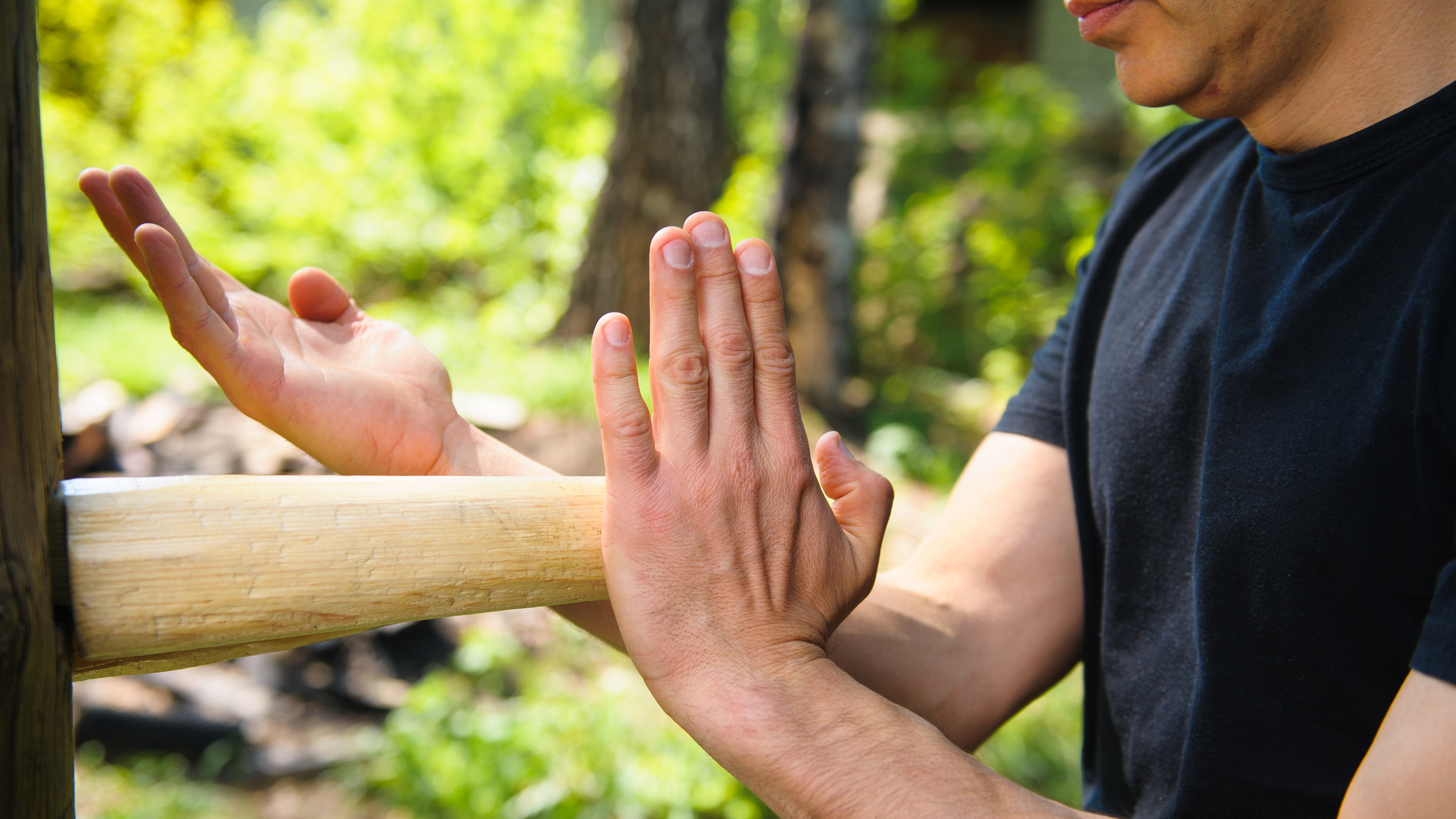 Wing Chun: Power that moves in inches