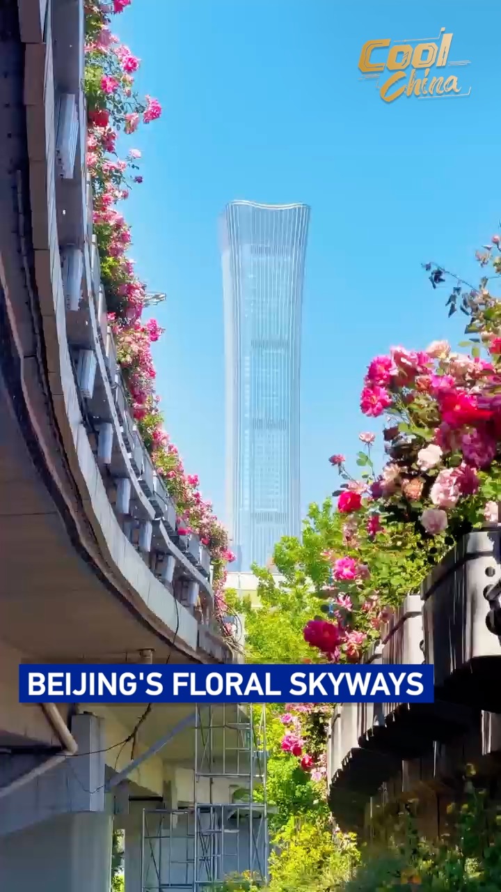 Beijing's floral skyways