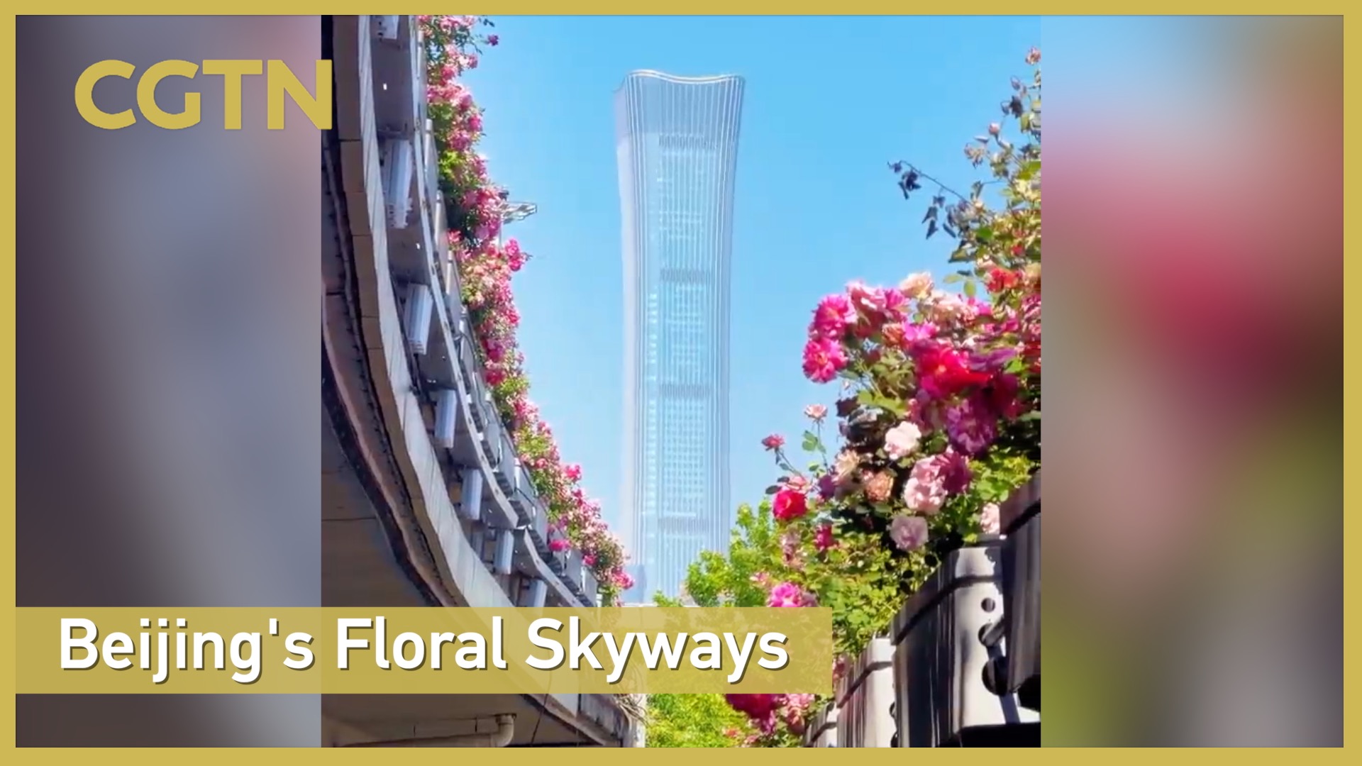 Beijing's floral skyways