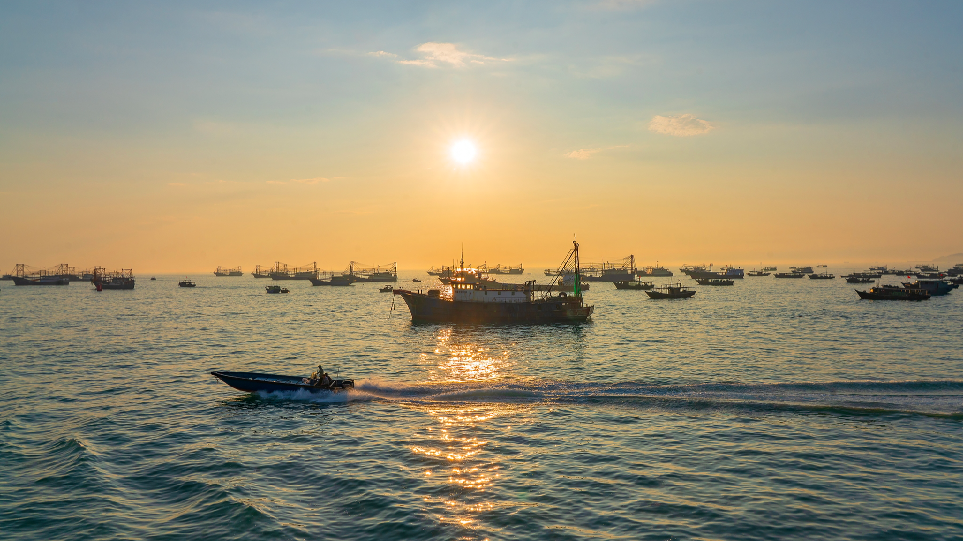 China, Vietnam release 270 million fish into Beibu Gulf