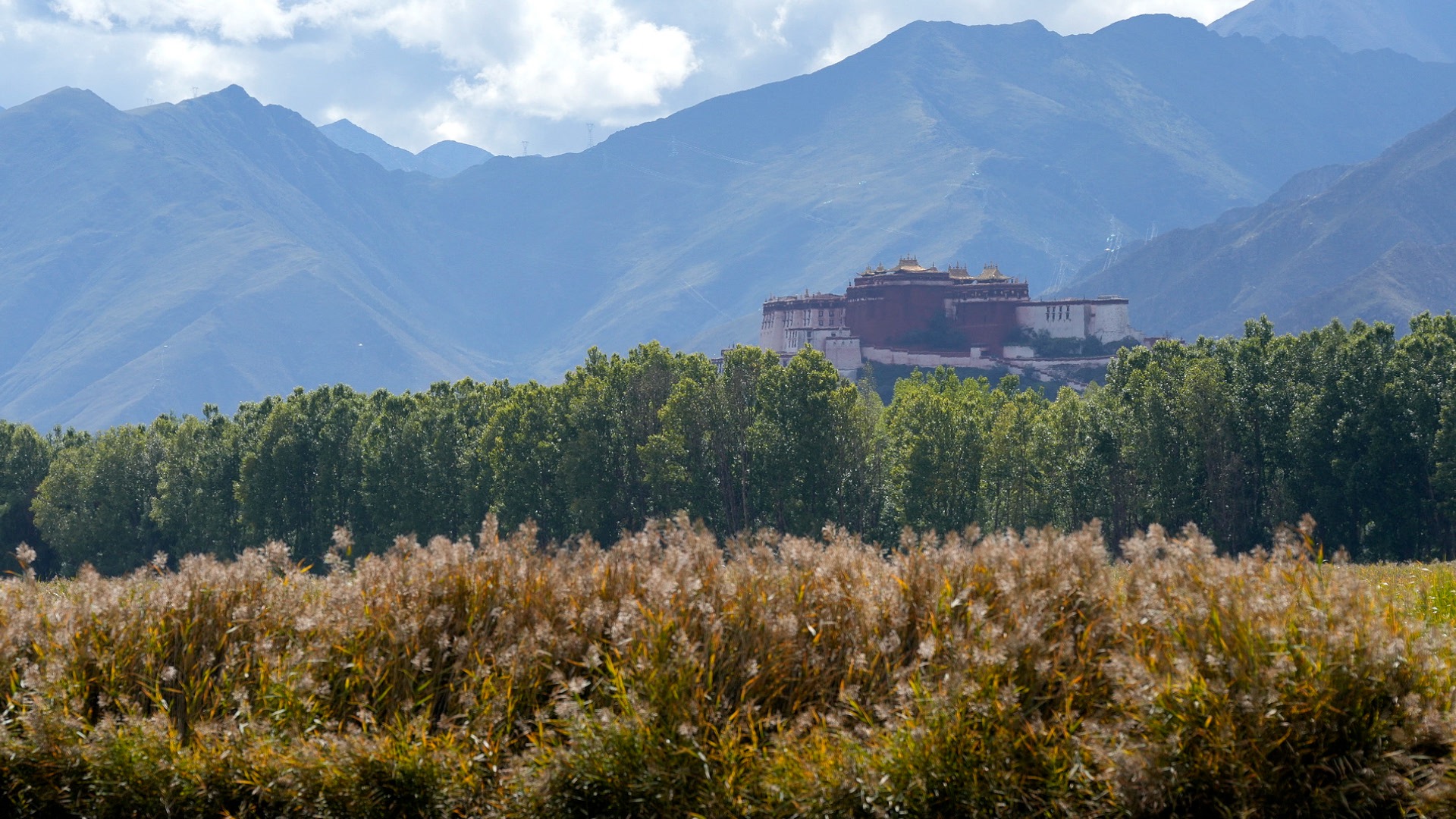 How Xizang Autonomous Region is building a greener future