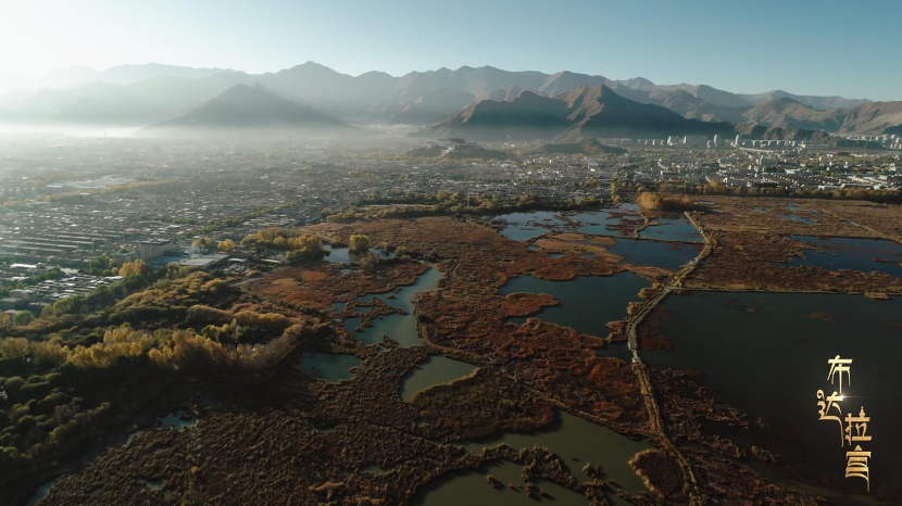 Lhalu Wetland in Lhasa City, Xizang Autonomous Region, southwest China. /CGTN
