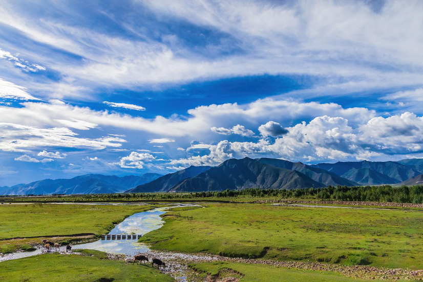 Grassland on the outskirts of Lhasa City, Xizang Autonomous Region, southwest China. /VCG