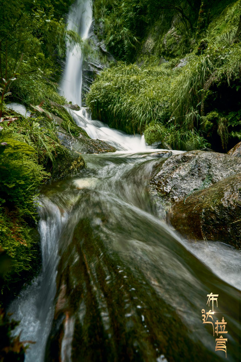 Lebu Valley, Cona County, Shannan City, Xizang Autonomous Region, southwest China. /CGTN