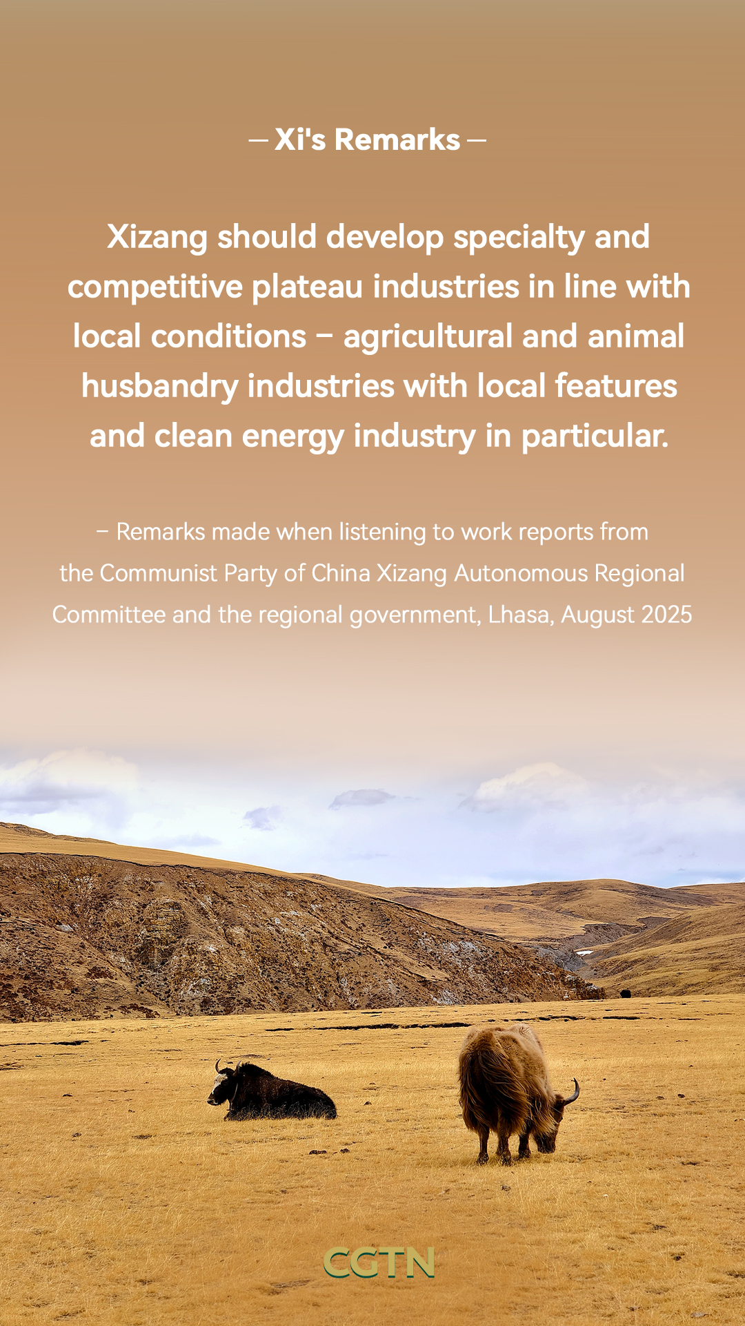 President Xi Jinping's key remarks on Xizang