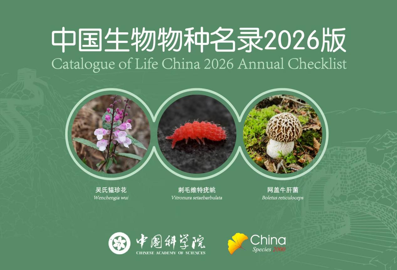 The Catalogue of Life China 2026 Annual Checklist is released on May 22, 2026. /China Media Group