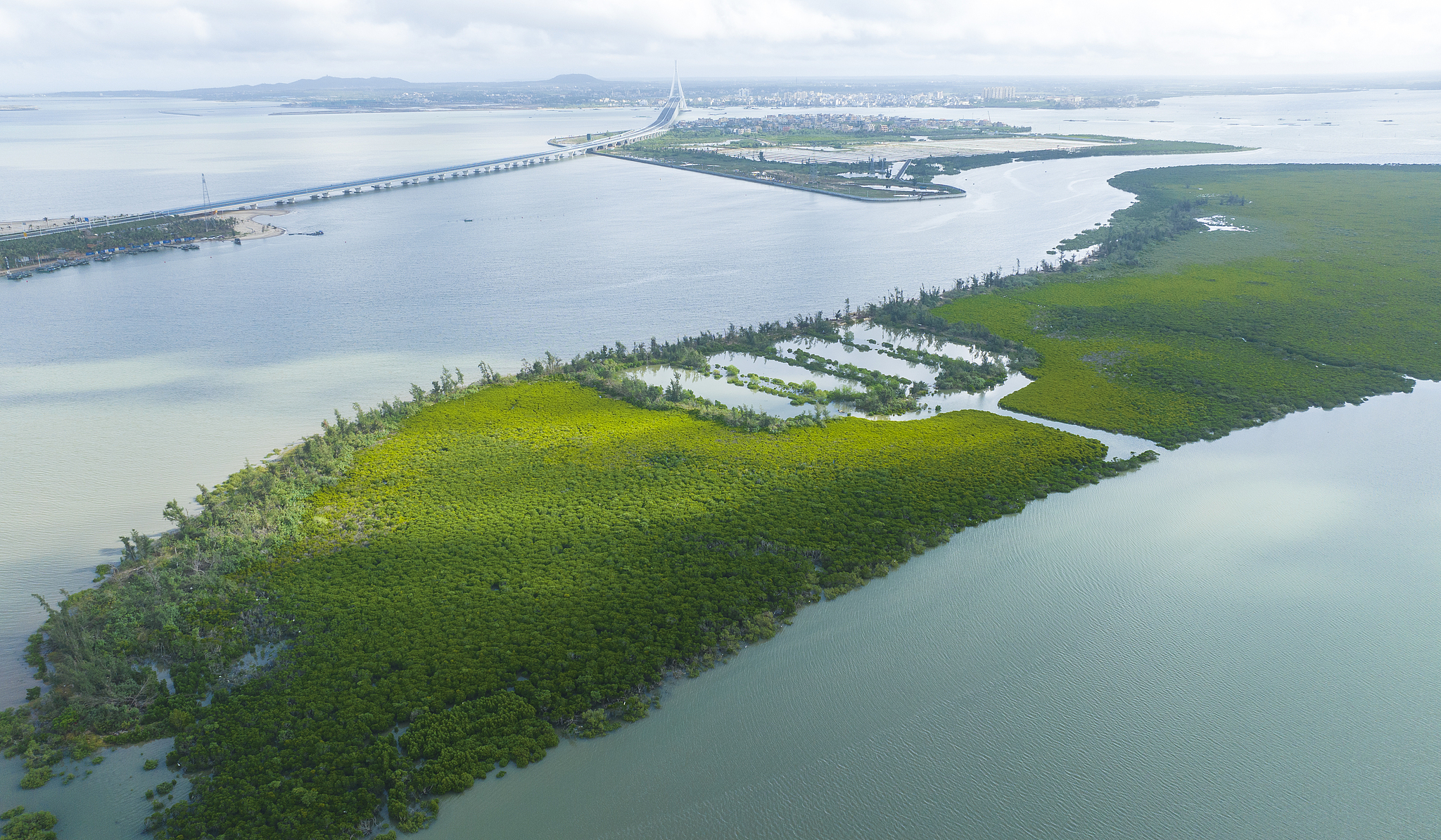 Mangroves in the Dongzhai Port National Nature Reserve, Haikou, Hainan Province, south China, November 8, 2025. /VCG