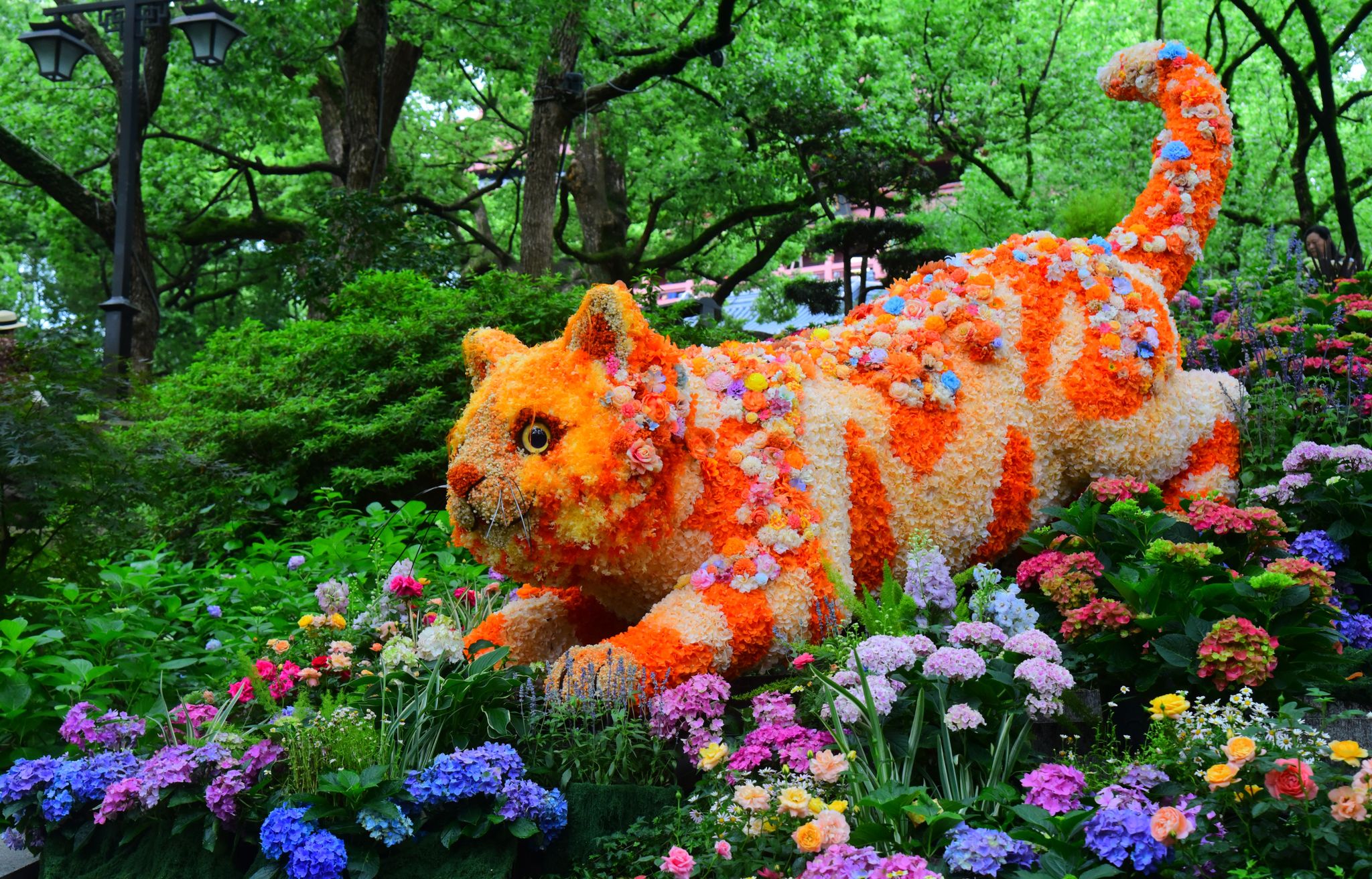 A giant orange cat installation – inspired by real mountain cats known to inhabit Wushan Mountain – is pictured at the hydrangea flower show in Hangzhou, Zhejiang Province on May 21, 2026. /VCG