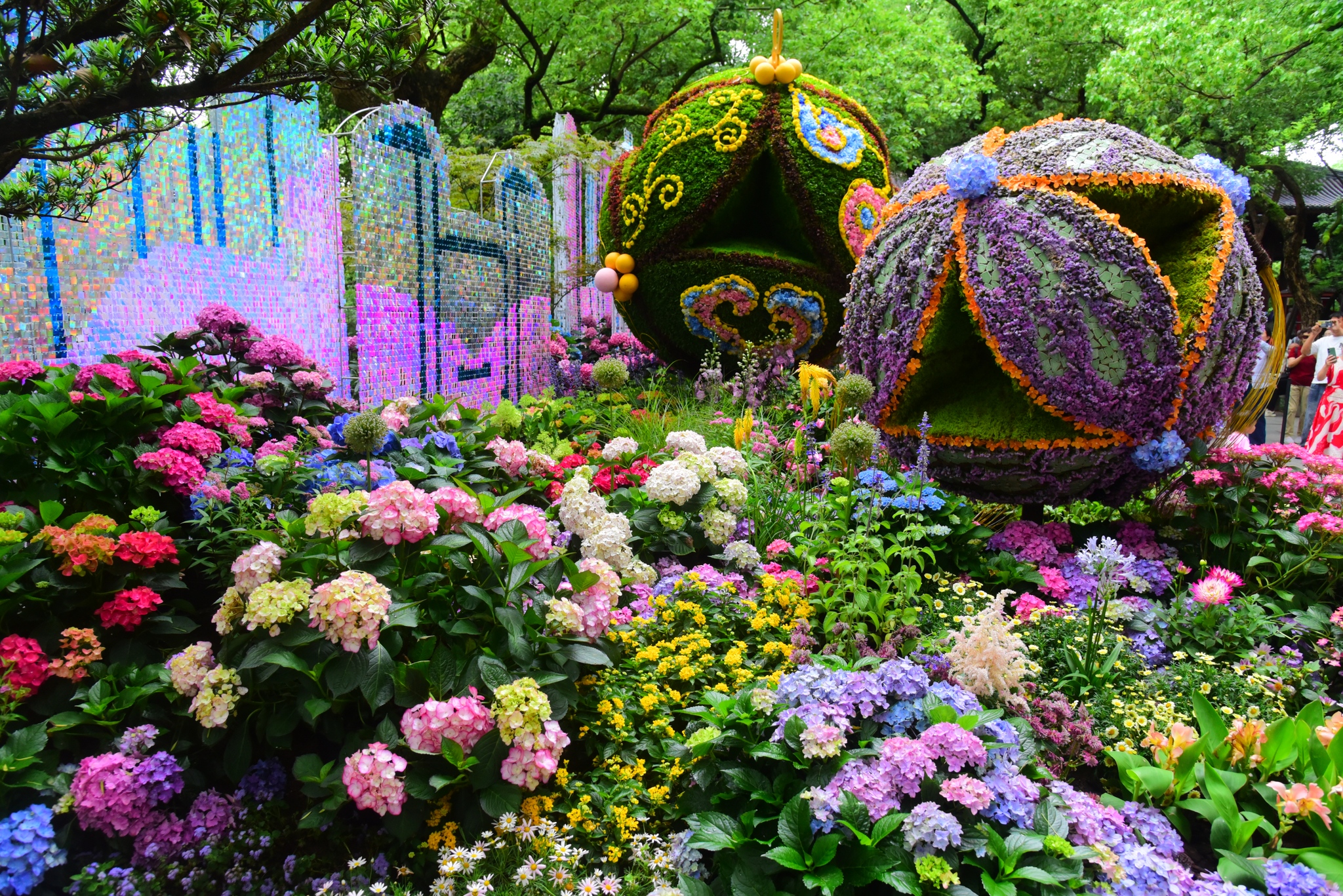 A floral display is pictured at the hydrangea flower show in Hangzhou, Zhejiang Province on May 21, 2026. /VCG