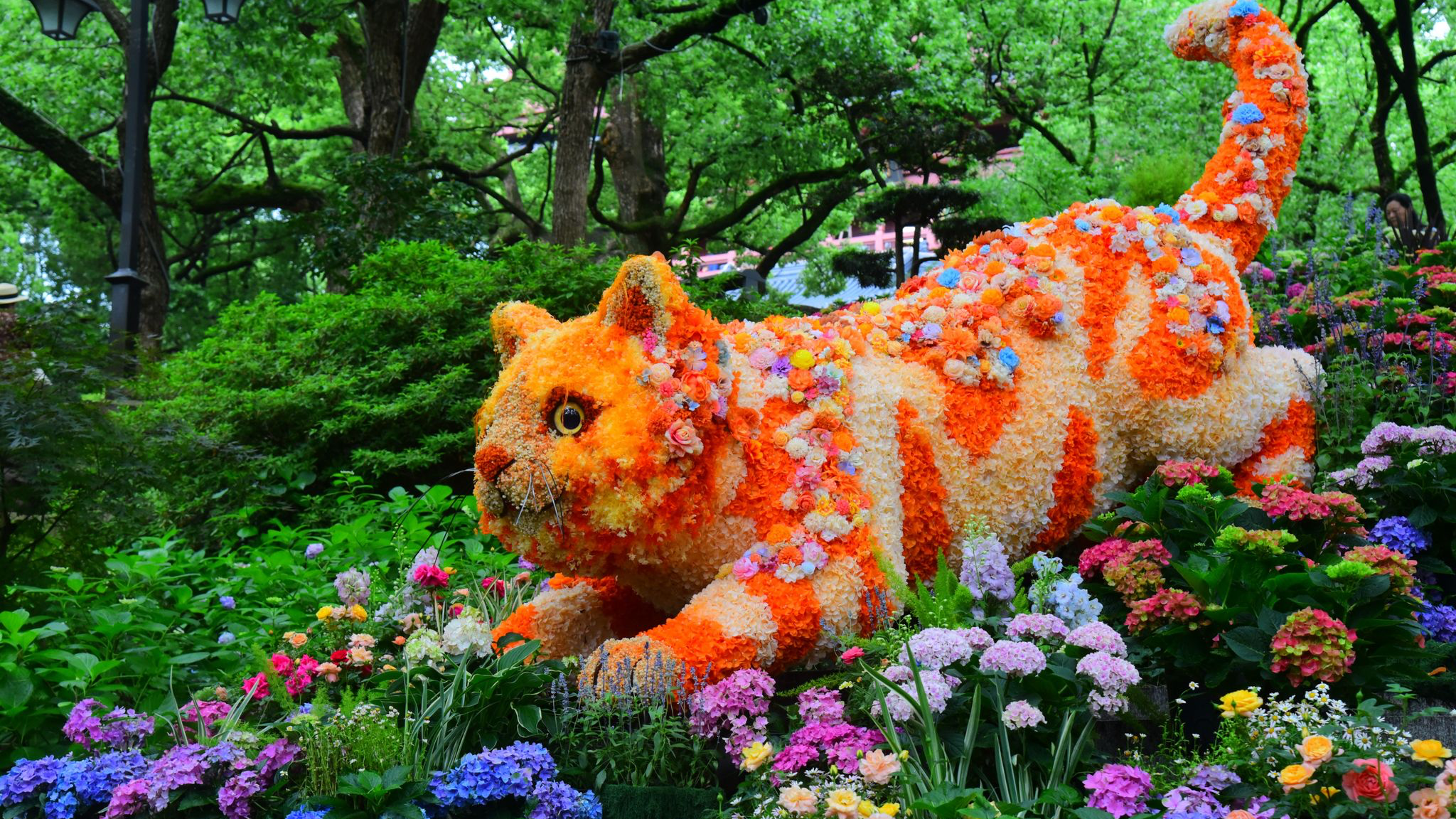 Hydrangea show brings a sea of blossoms to Hangzhou