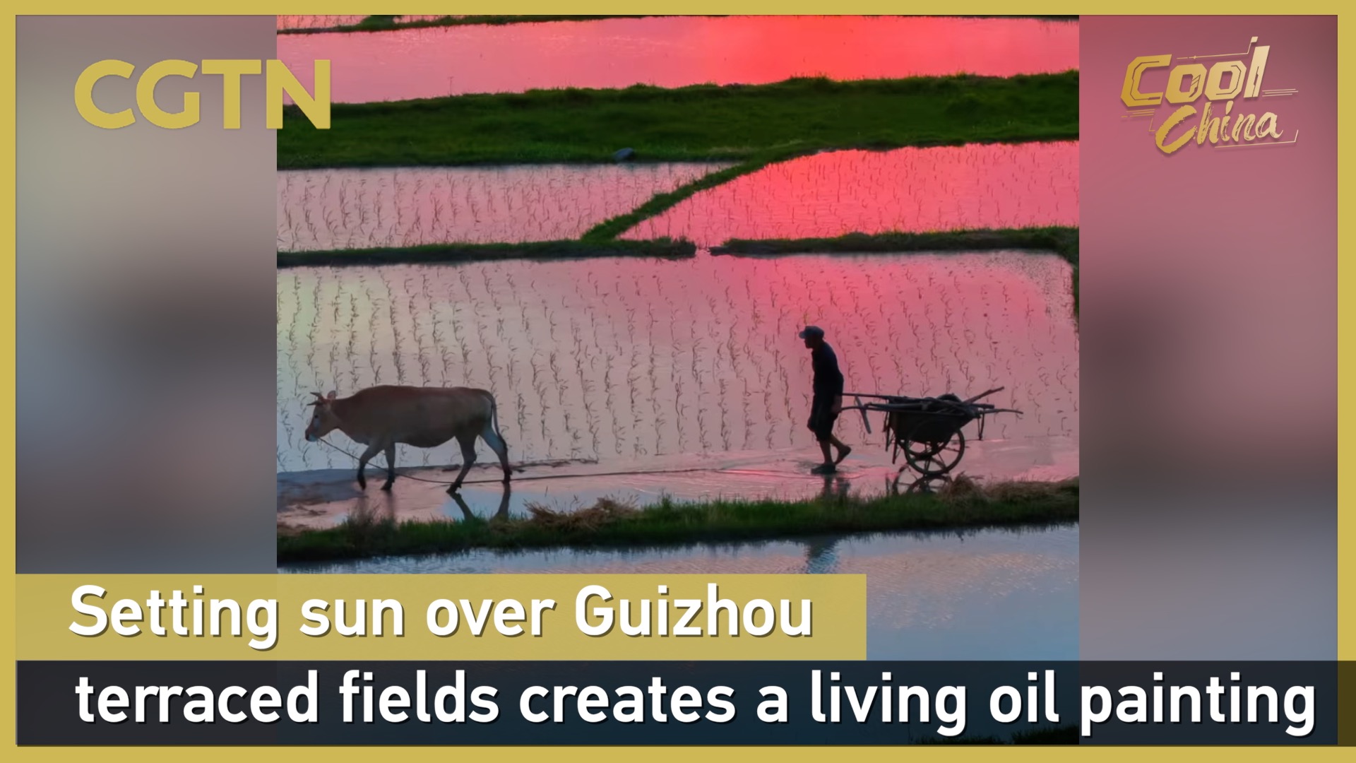 Setting sun over Guizhou's terraced fields creates living oil painting