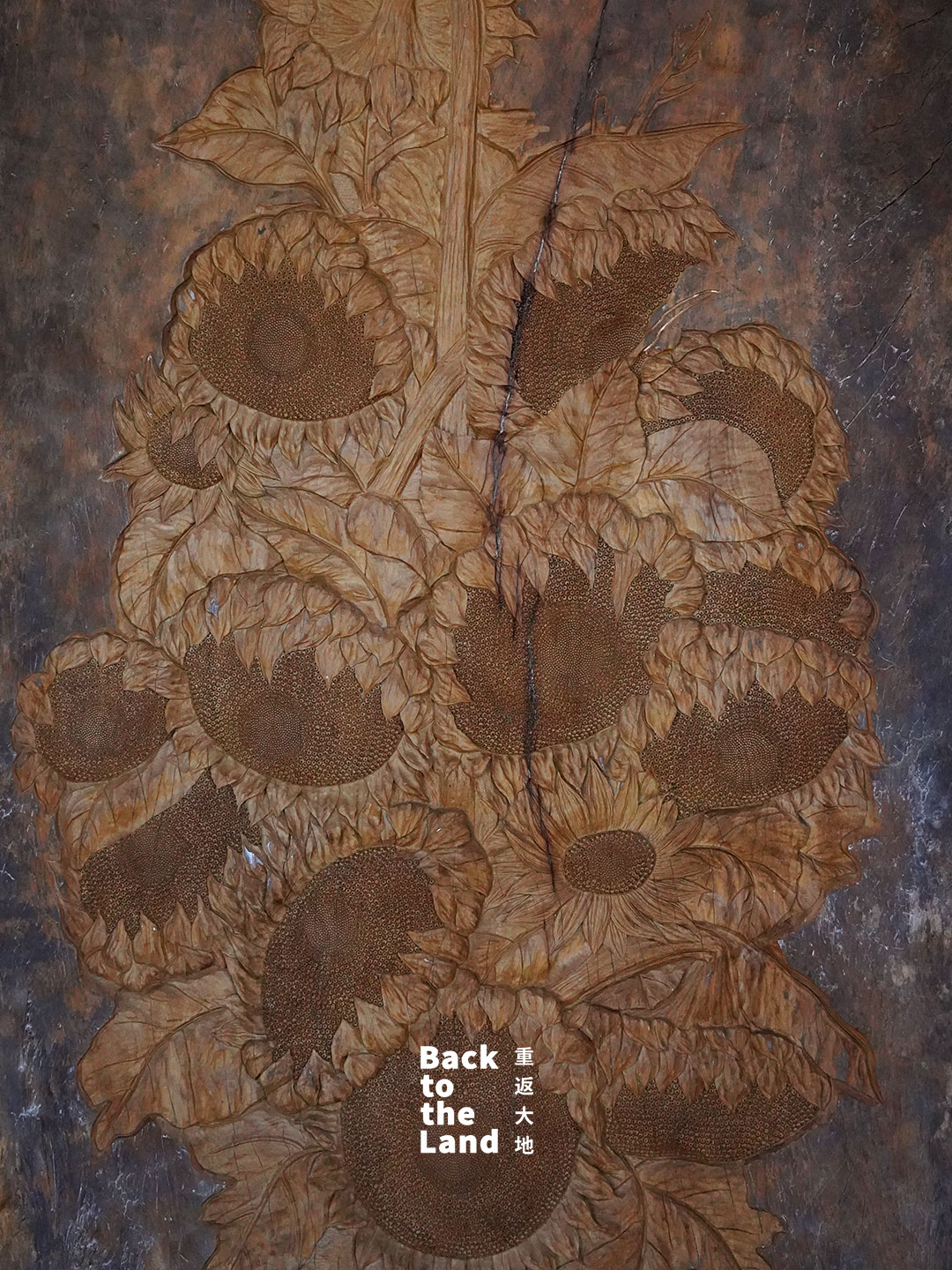 Shaxi woodcarving draws inspiration from the natural world, transforming raw timber into vivid expressions of life. /CGTN
