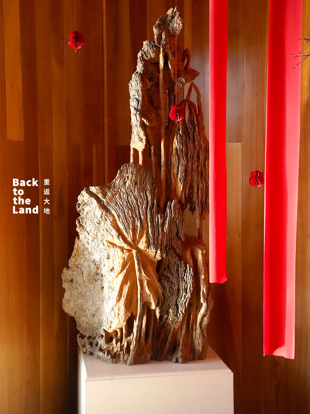 Shaxi woodcarving draws inspiration from the natural world, transforming raw timber into vivid expressions of life. /CGTN