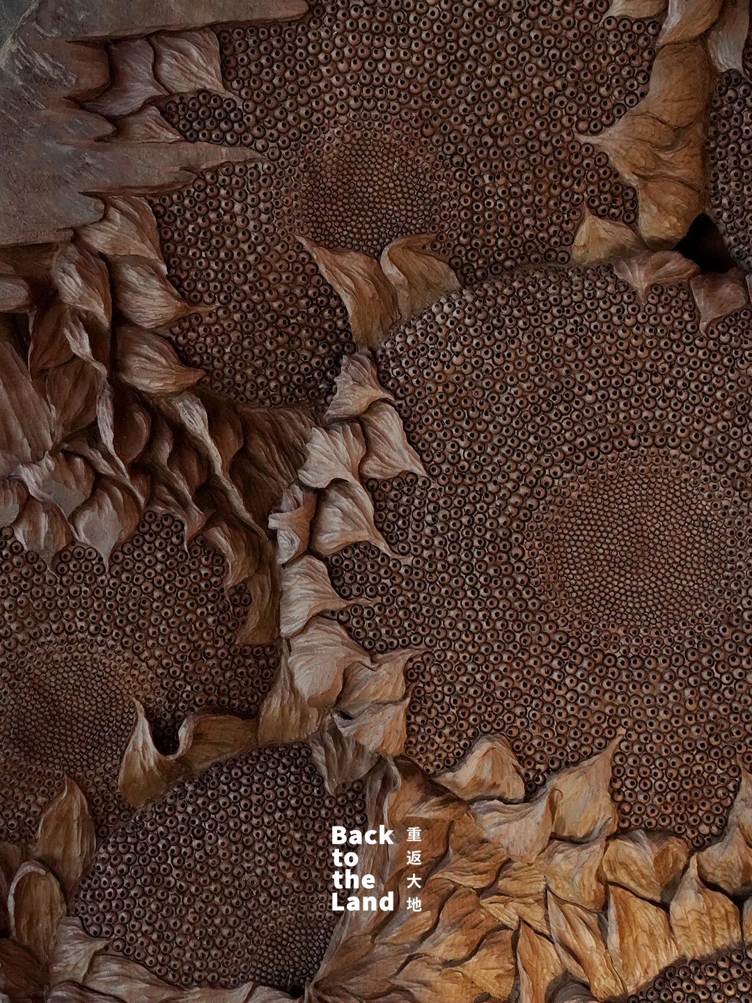 Shaxi woodcarving draws inspiration from the natural world, transforming raw timber into vivid expressions of life. /CGTN