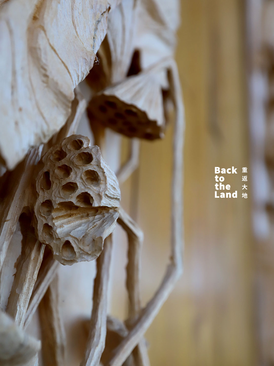 Shaxi woodcarving draws inspiration from the natural world, transforming raw timber into vivid expressions of life. /CGTN