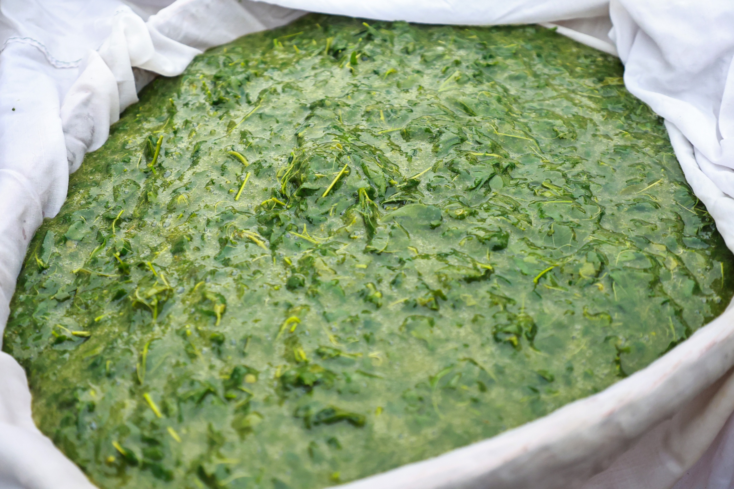 Leaf jelly is made in Yinjiang Tujia and Miao Autonomous County, southwest China's Guizhou Province on May 14, 2026. /Tongren Media Convergence Center
