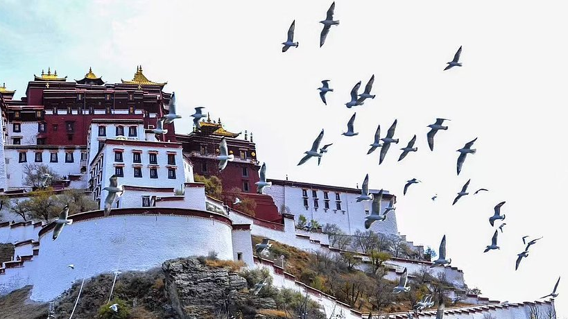 The transformation path of Xizang's distinctive industries