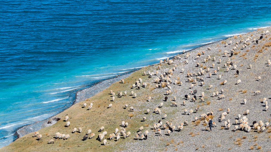 Azure gem: Sacred Yamdrok Lake in Xizang