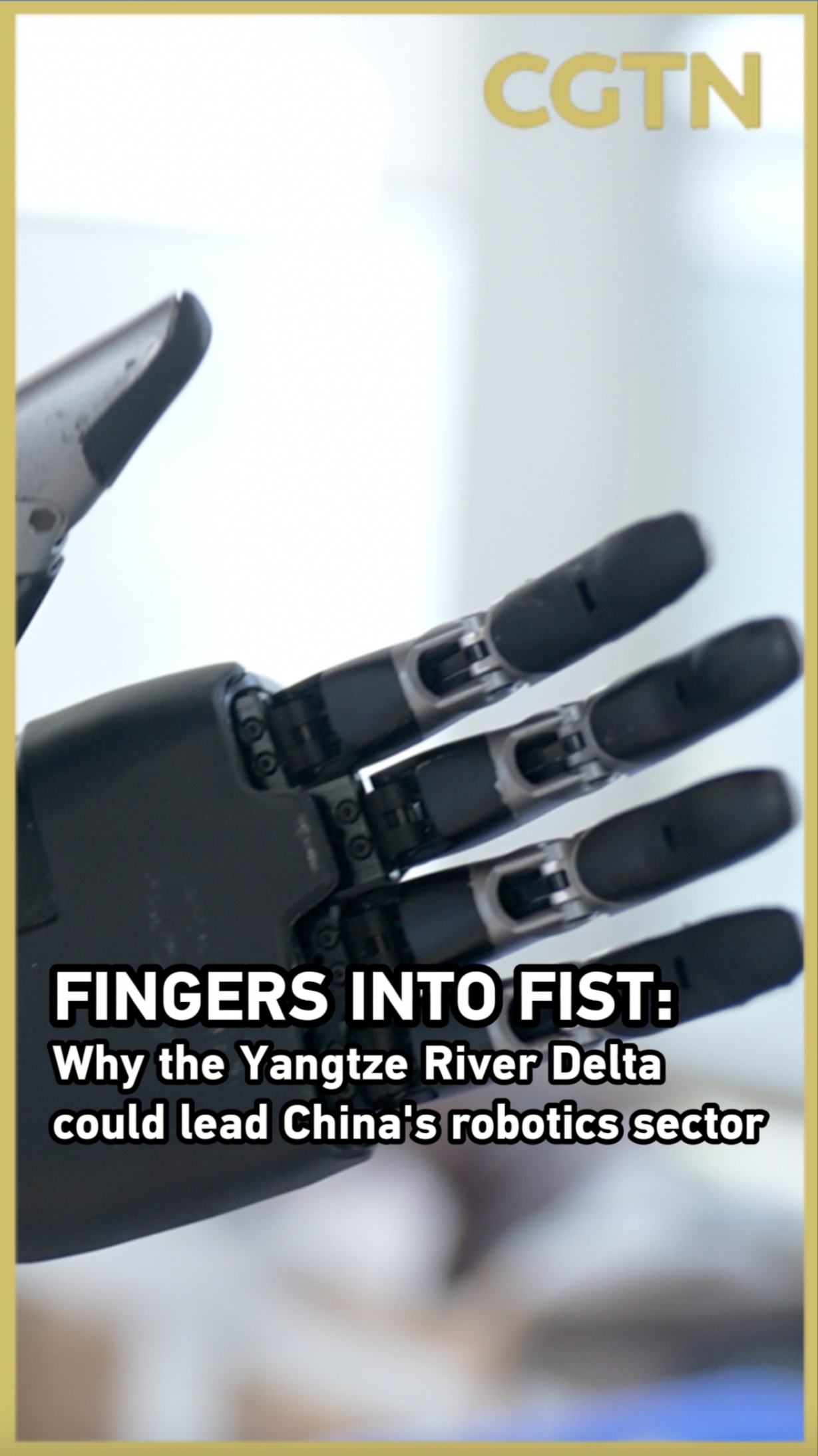 Why the Yangtze River Delta could lead China's robotics sector