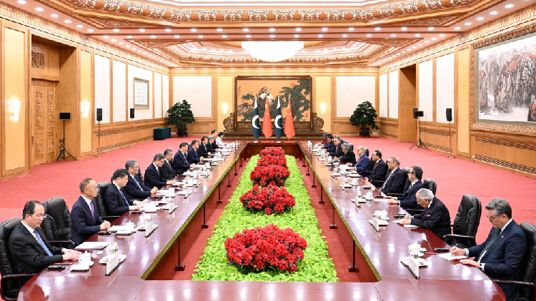 China and Pakistan reaffirm ties, vow to advance multipolar world