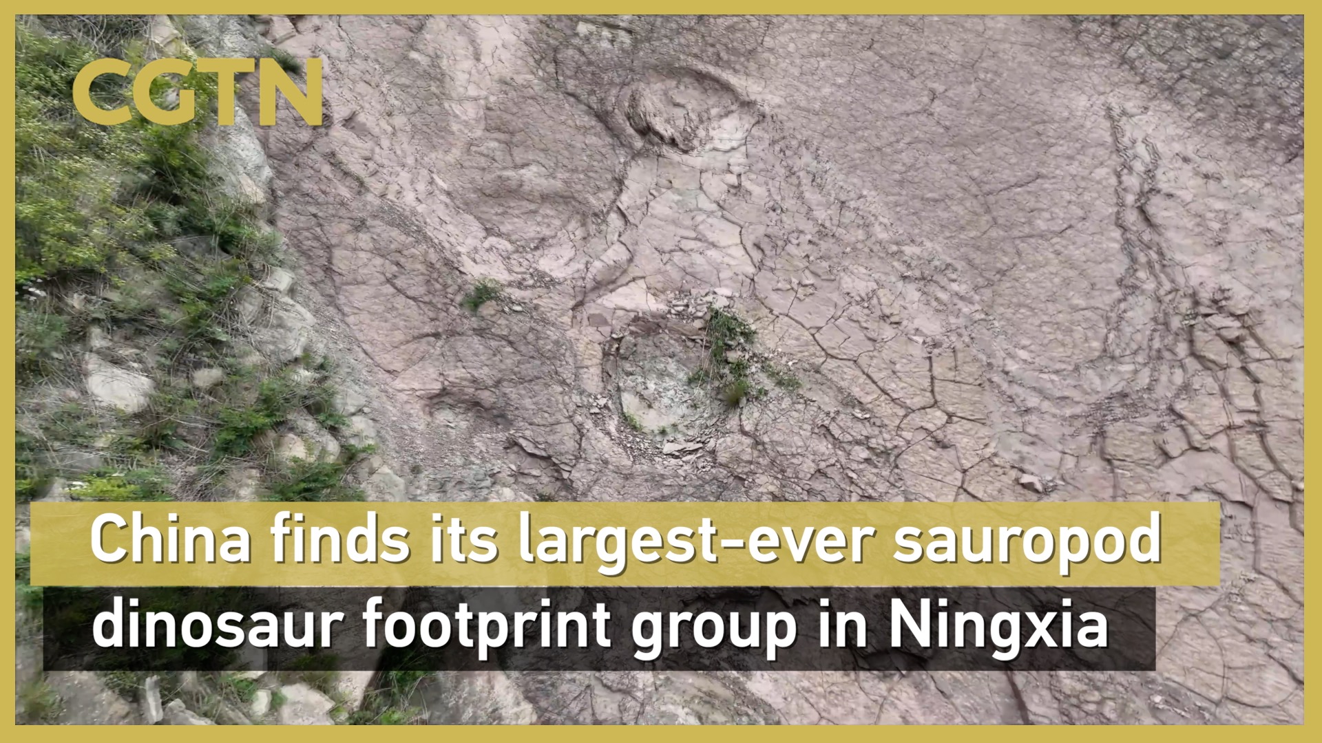 China finds its largest-ever sauropod dinosaur footprint group in Ningxia 