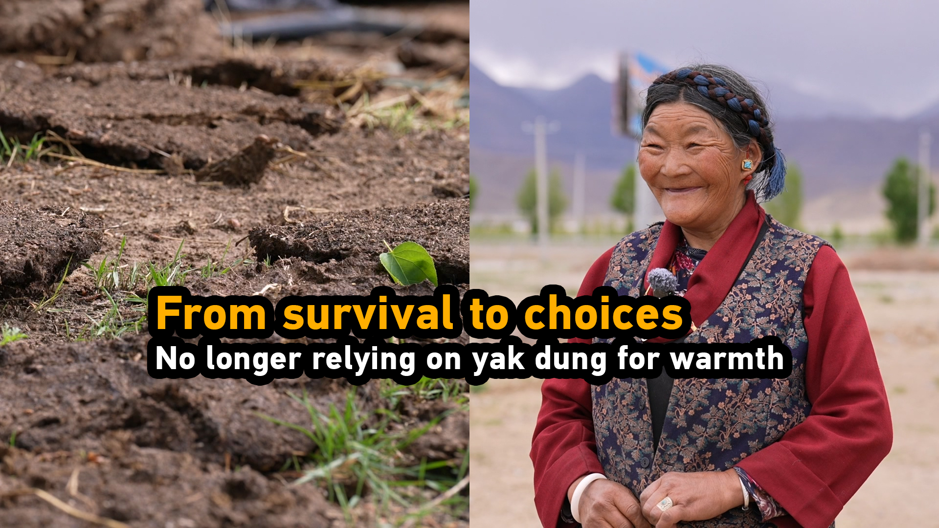 From survival to choice: No longer relying on yak dung for warmth